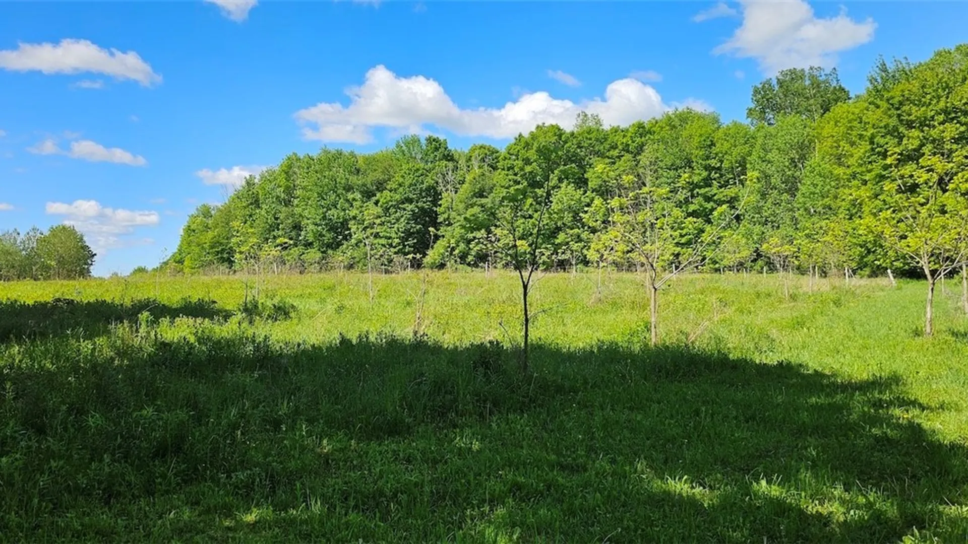 Property at Sprouls Road, Summerhill, NY 13045 24