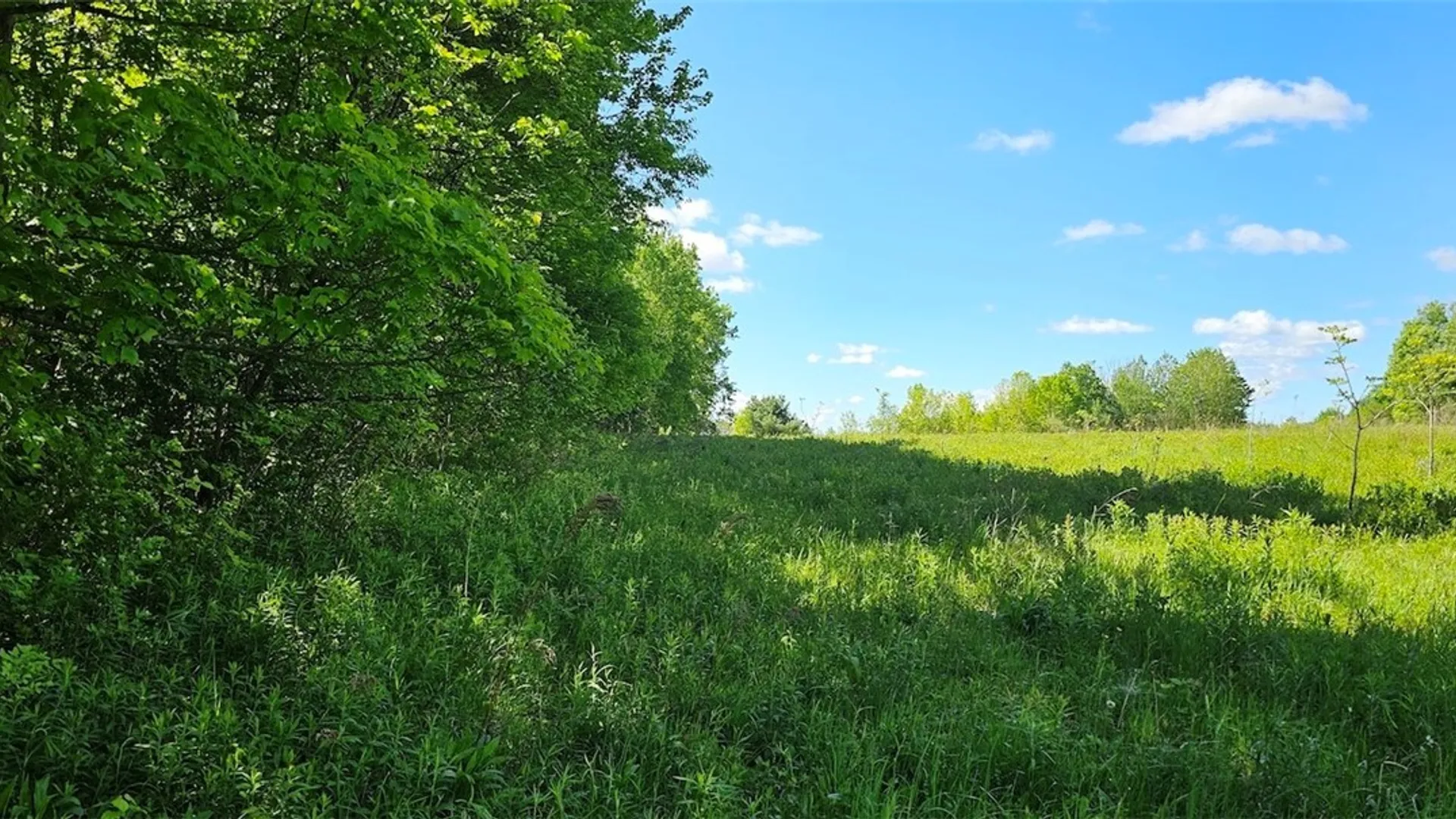 Property at Sprouls Road, Summerhill, NY 13045 25