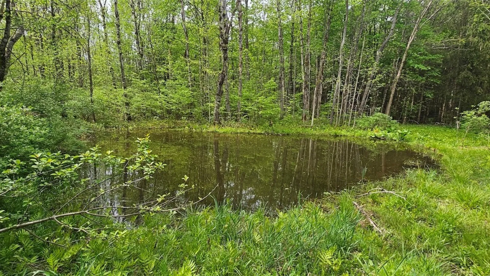 Property at Sprouls Road, Summerhill, NY 13045 26