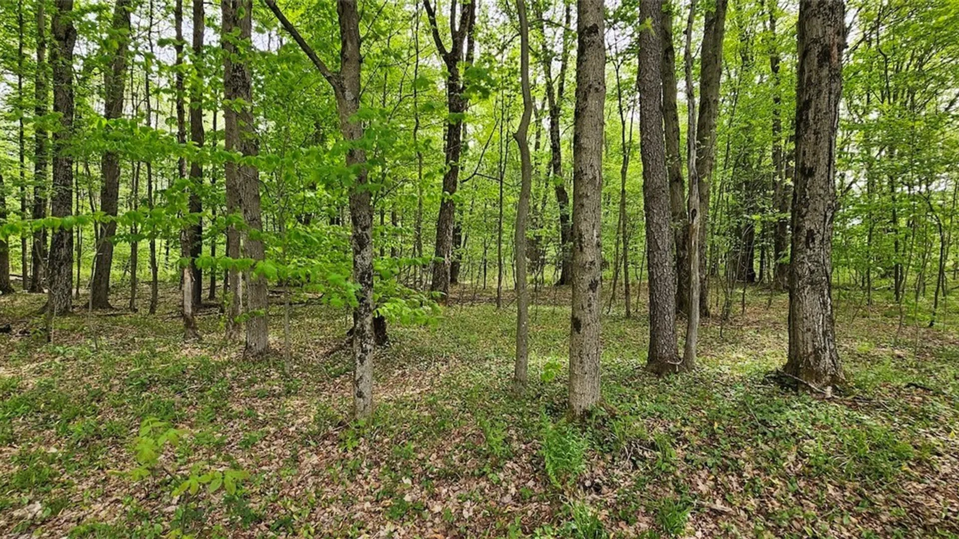 Property at Sprouls Road, Summerhill, NY 13045 28