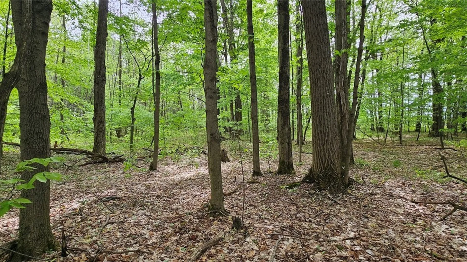 Property at Sprouls Road, Summerhill, NY 13045 30