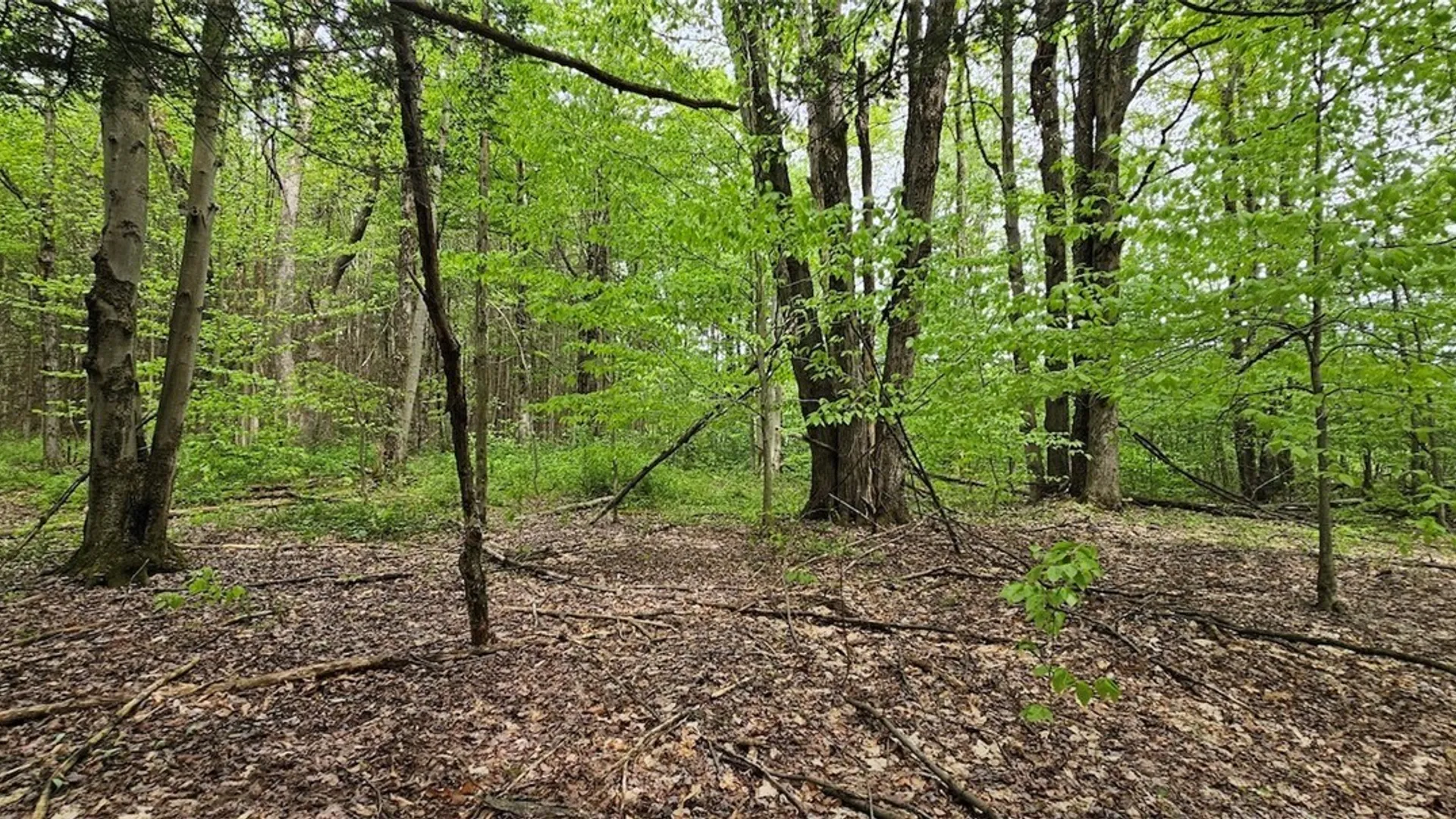 Property at Sprouls Road, Summerhill, NY 13045 32