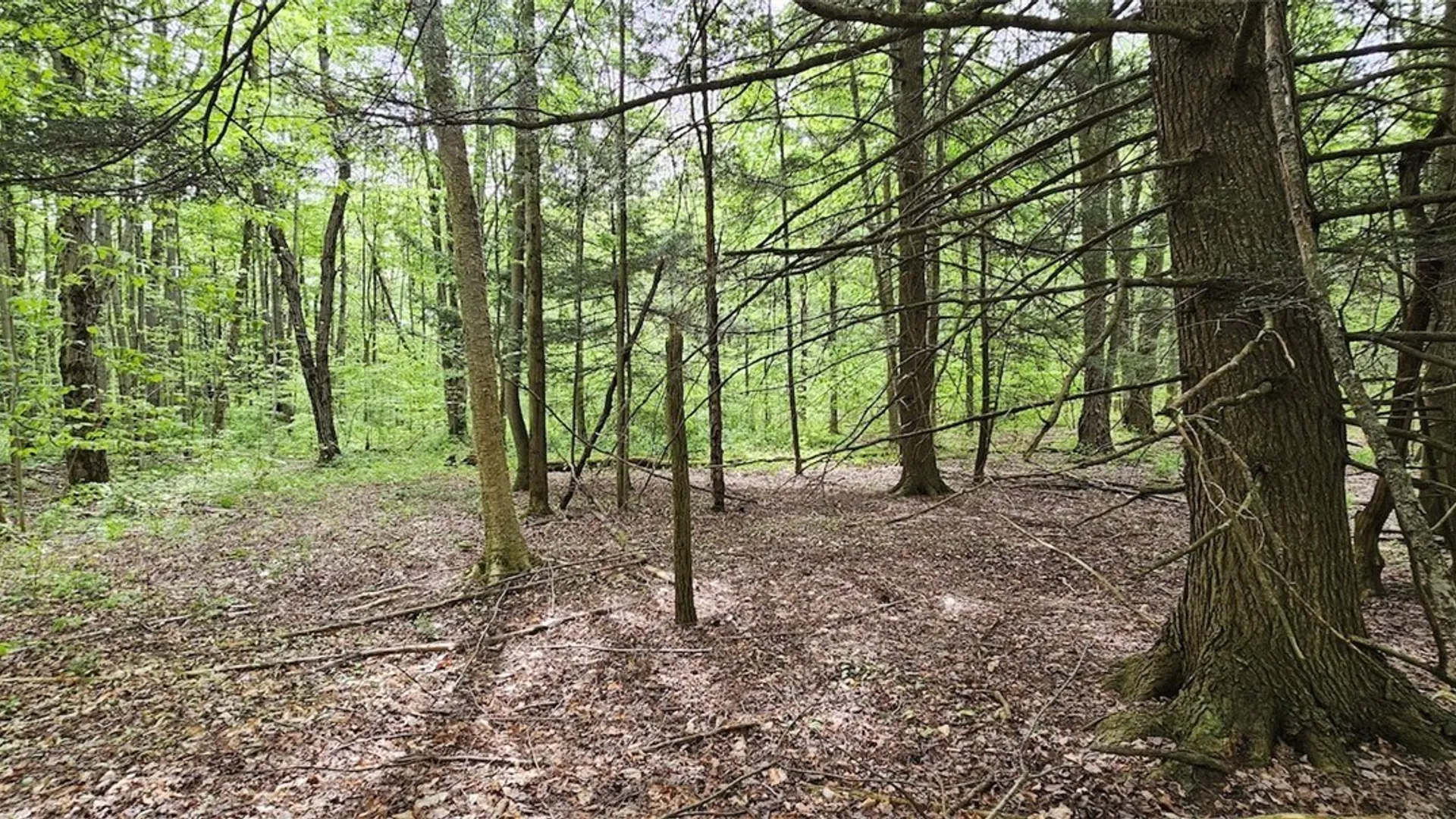 Property at Sprouls Road, Summerhill, NY 13045 36