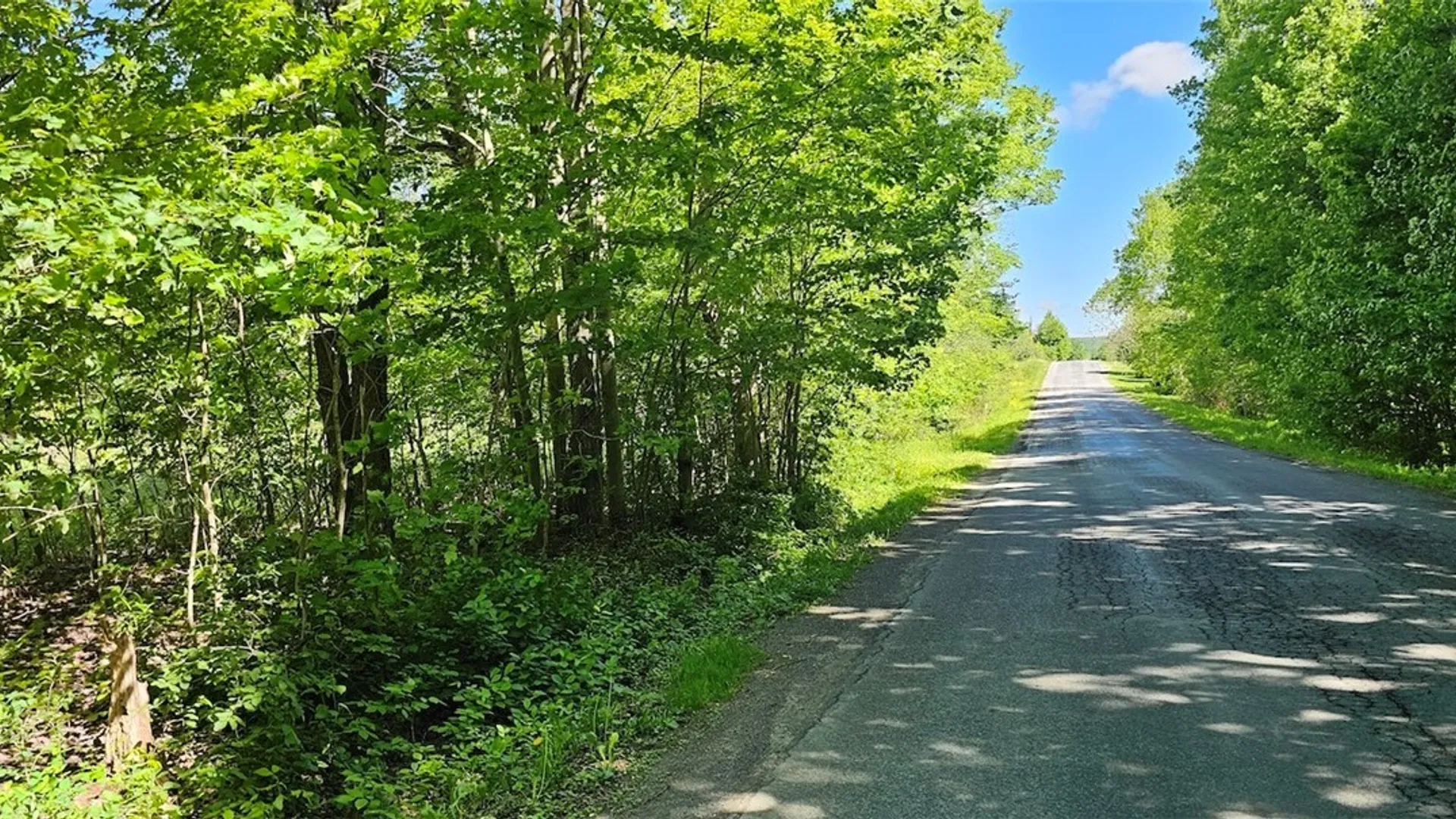 Property at Sprouls Road, Summerhill, NY 13045 38