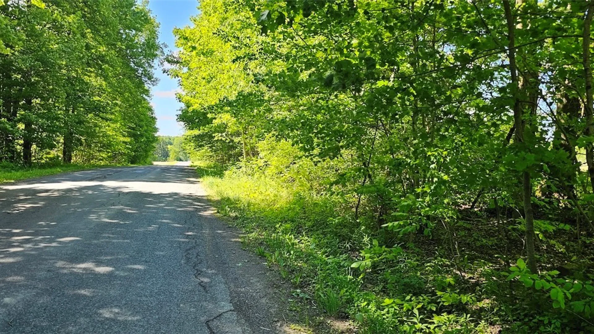 Property at Sprouls Road, Summerhill, NY 13045 39