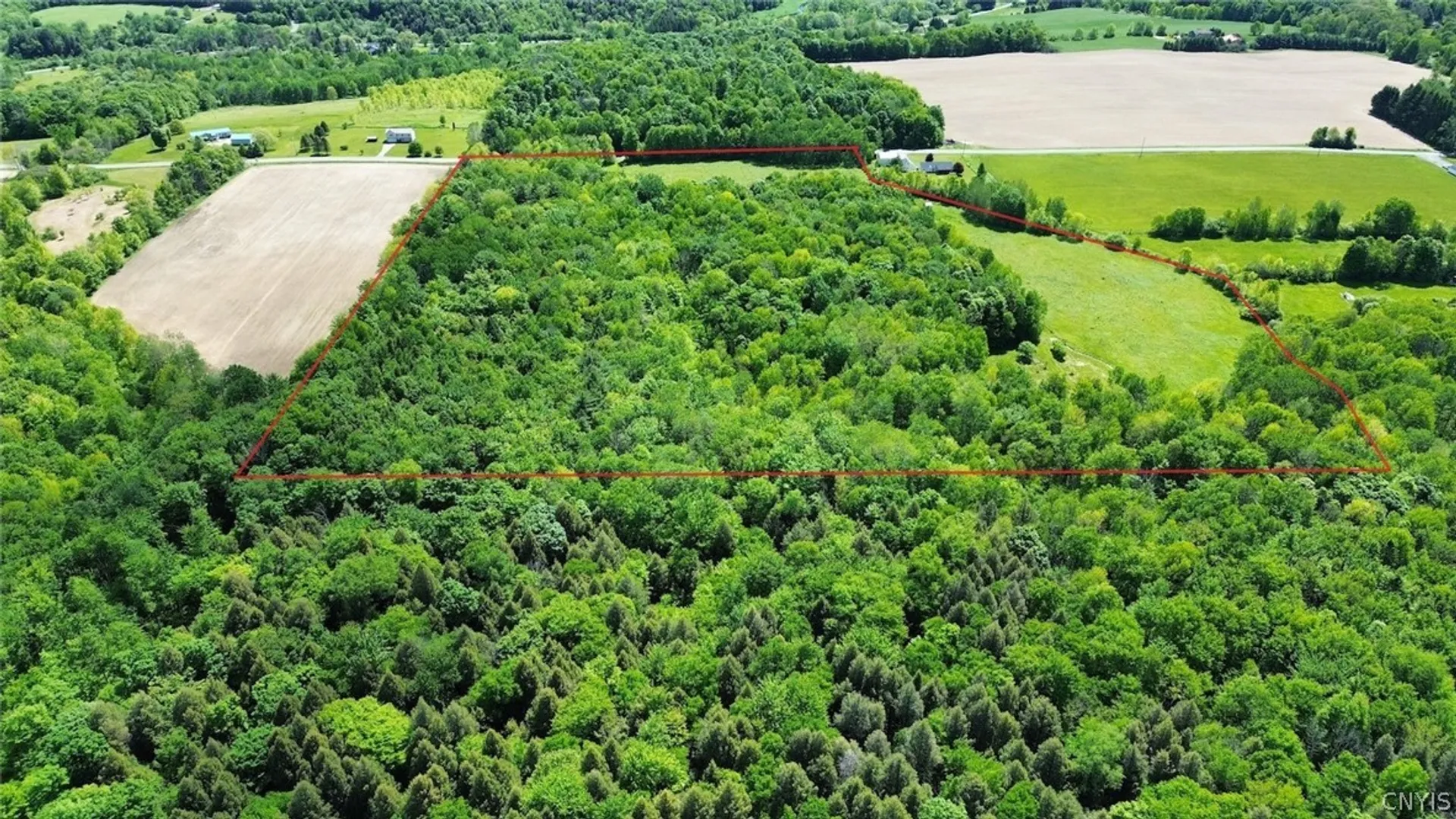 Property at Sprouls Road, Summerhill, NY 13045 4