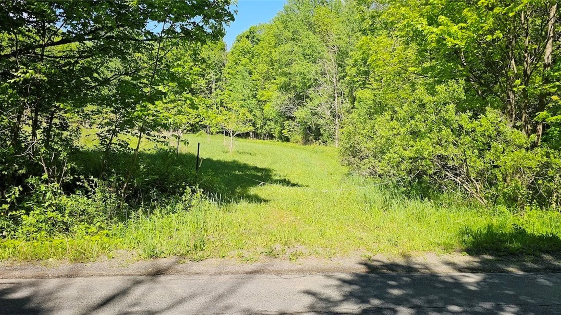 Property at Sprouls Road, Summerhill, NY 13045 40