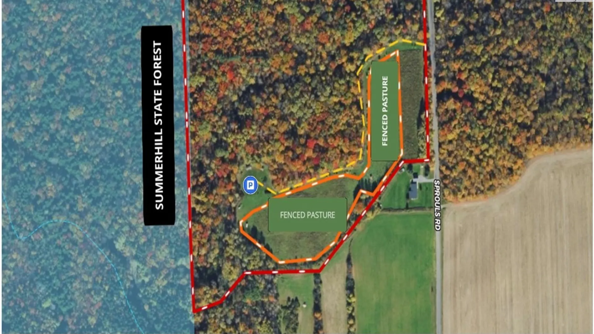 Property at Sprouls Road, Summerhill, NY 13045 47