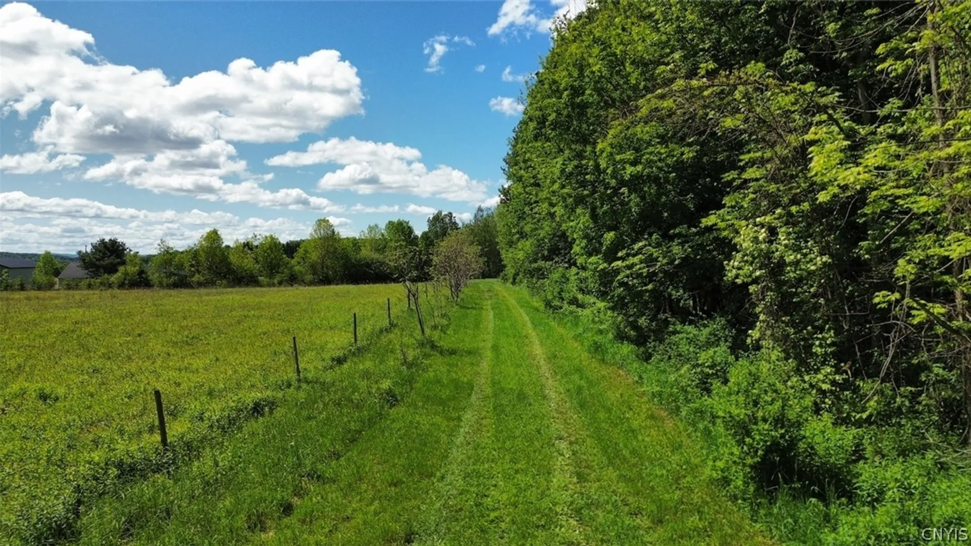 Property at Sprouls Road, Summerhill, NY 13045 6