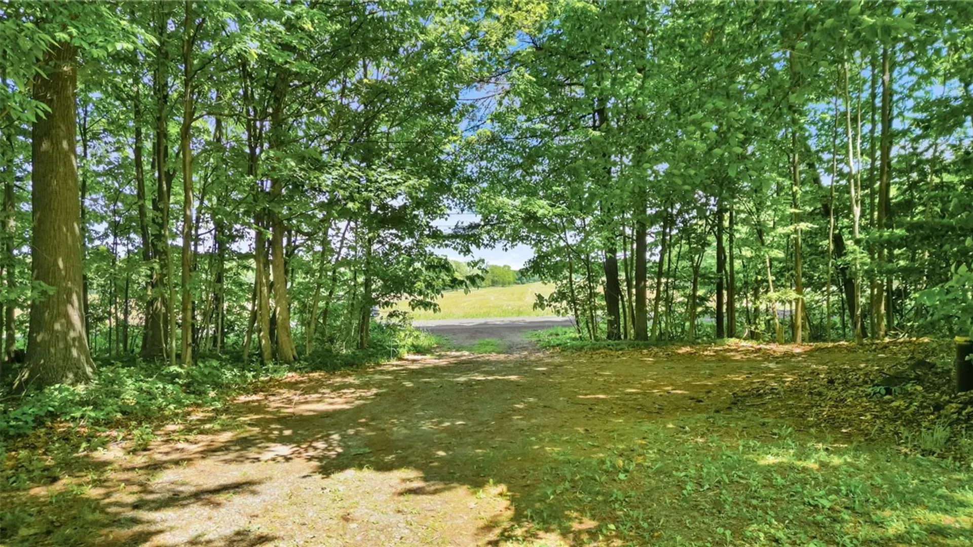Property at 5295 Halseyville Road, Ulysses, NY 14886 36