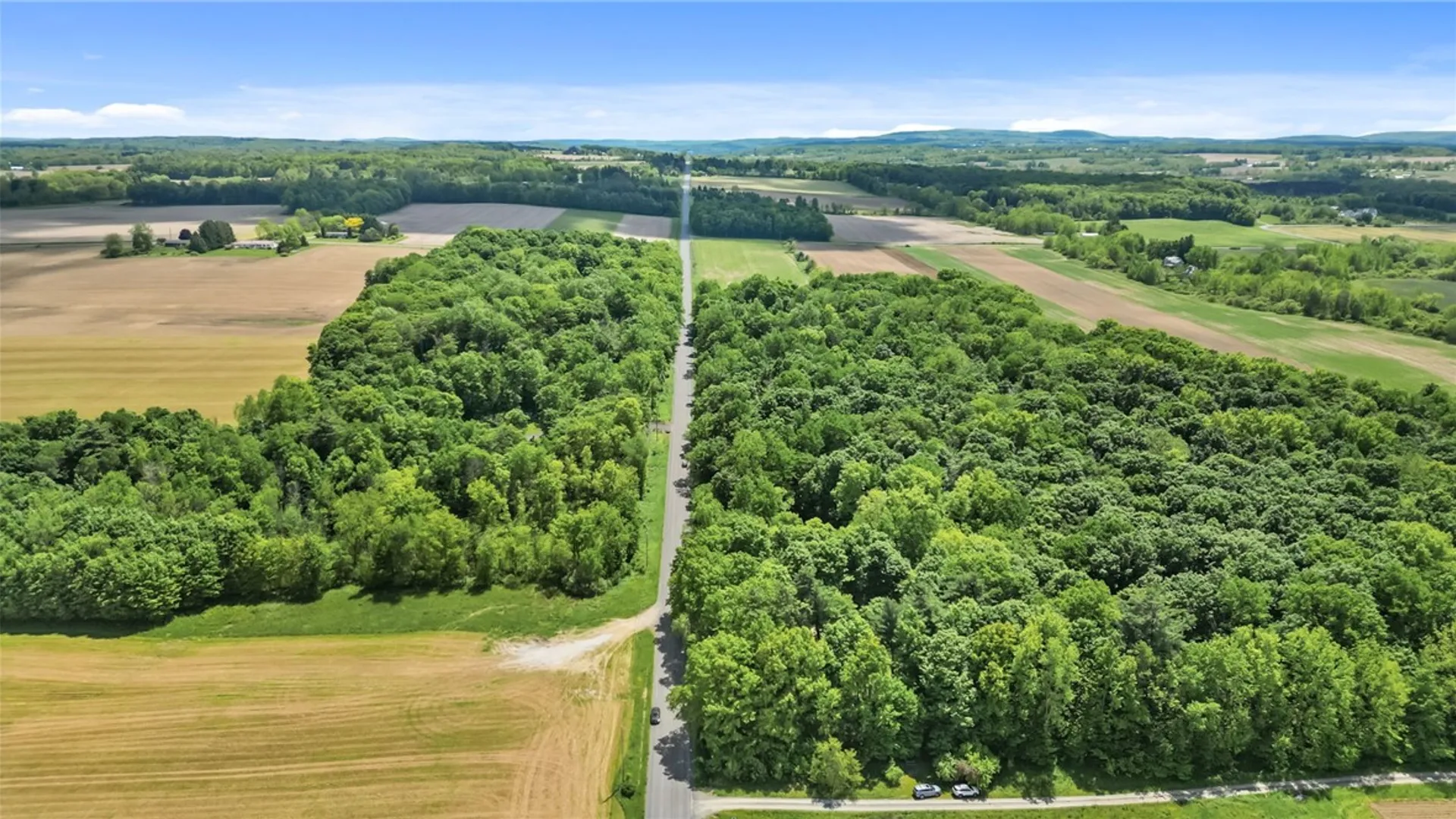 Property at 5295 Halseyville Road, Ulysses, NY 14886 41