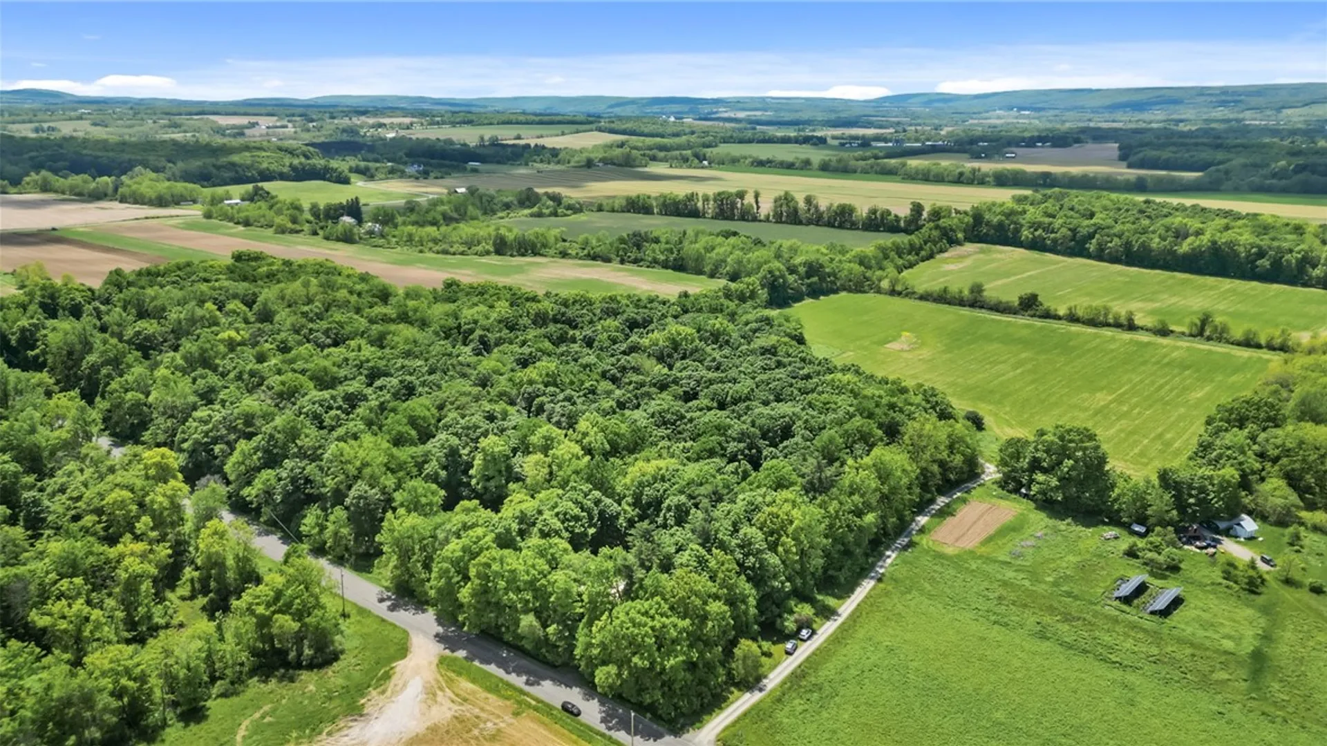 Property at 5295 Halseyville Road, Ulysses, NY 14886 42