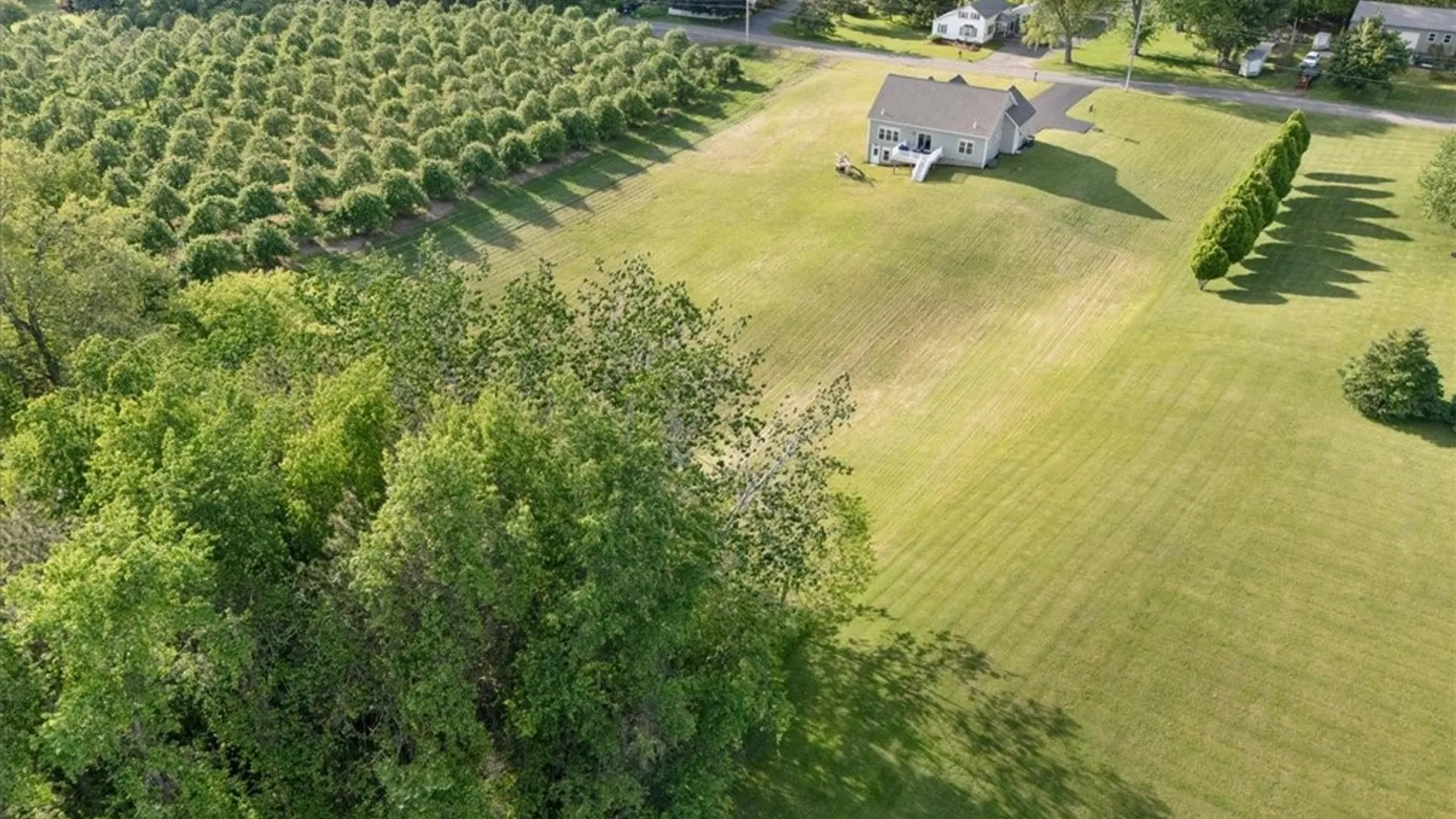Property at 8100 Morley Road, Sodus, NY 14555 47