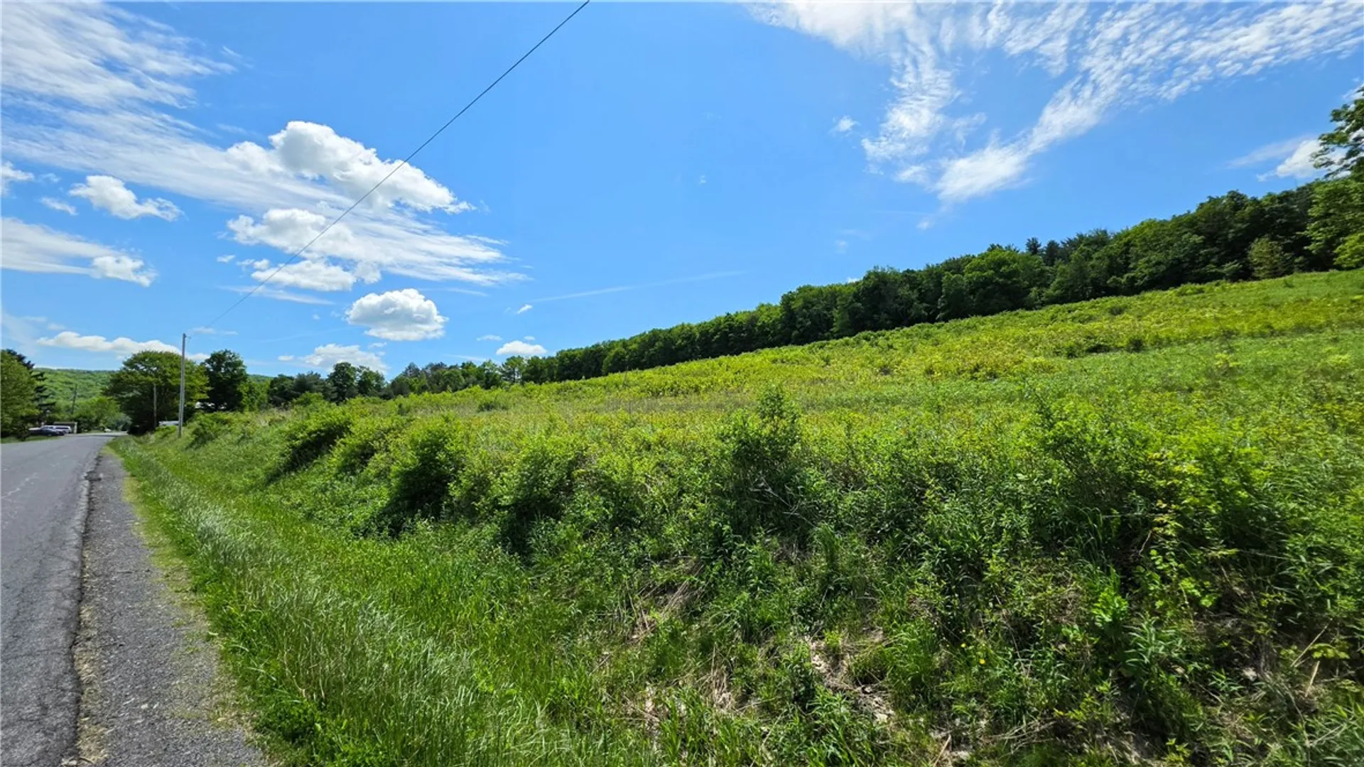 Property at 00 Burns Road, Caroline, NY 14817 10