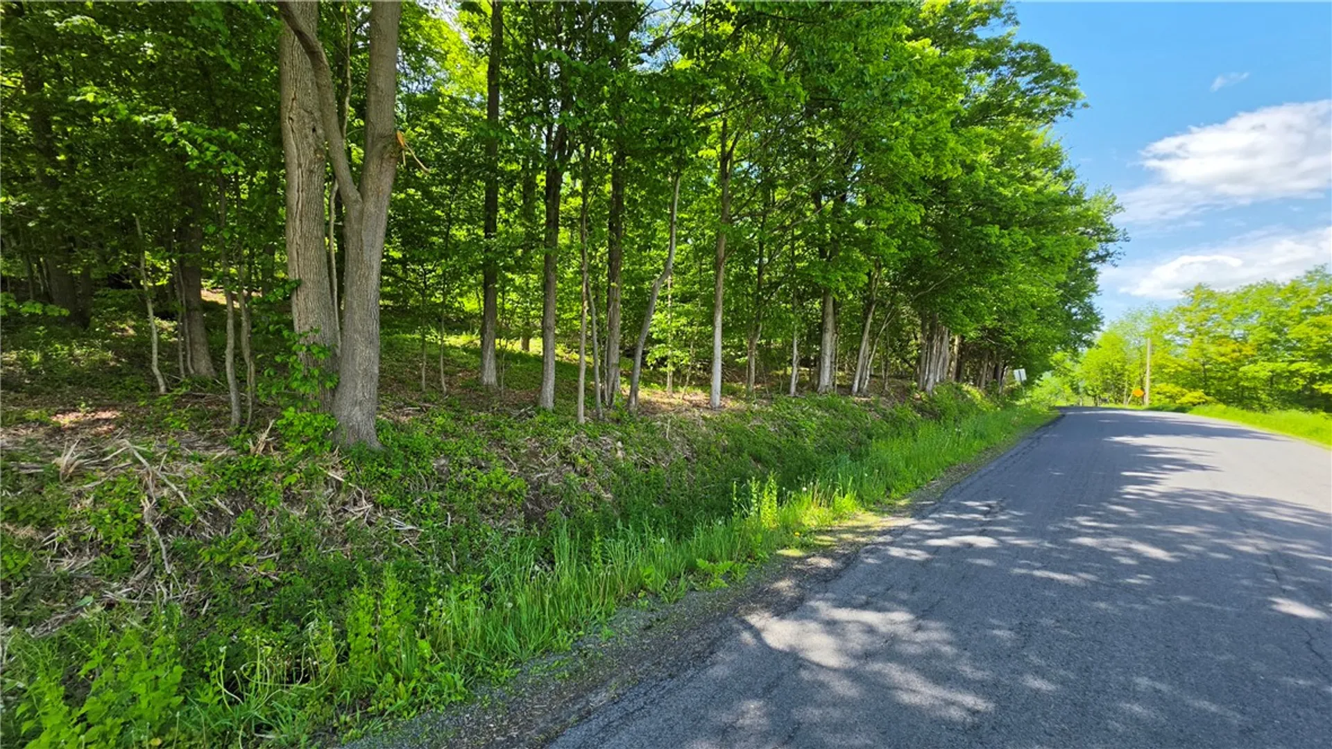 Property at 00 Burns Road, Caroline, NY 14817 18