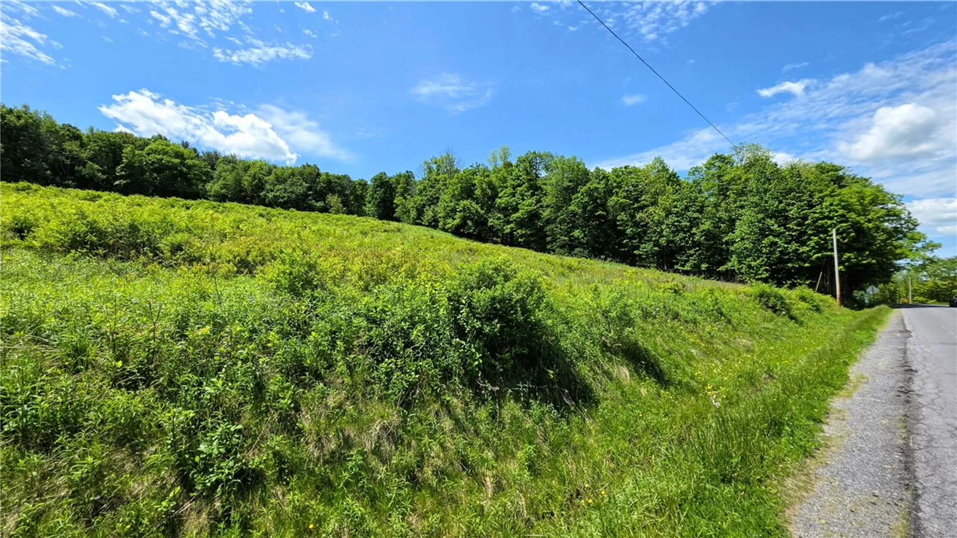 Property at 00 Burns Road, Caroline, NY 14817 5