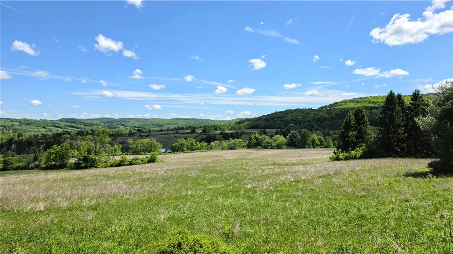 Property at 0 Burns Road, Caroline, NY 14817 5
