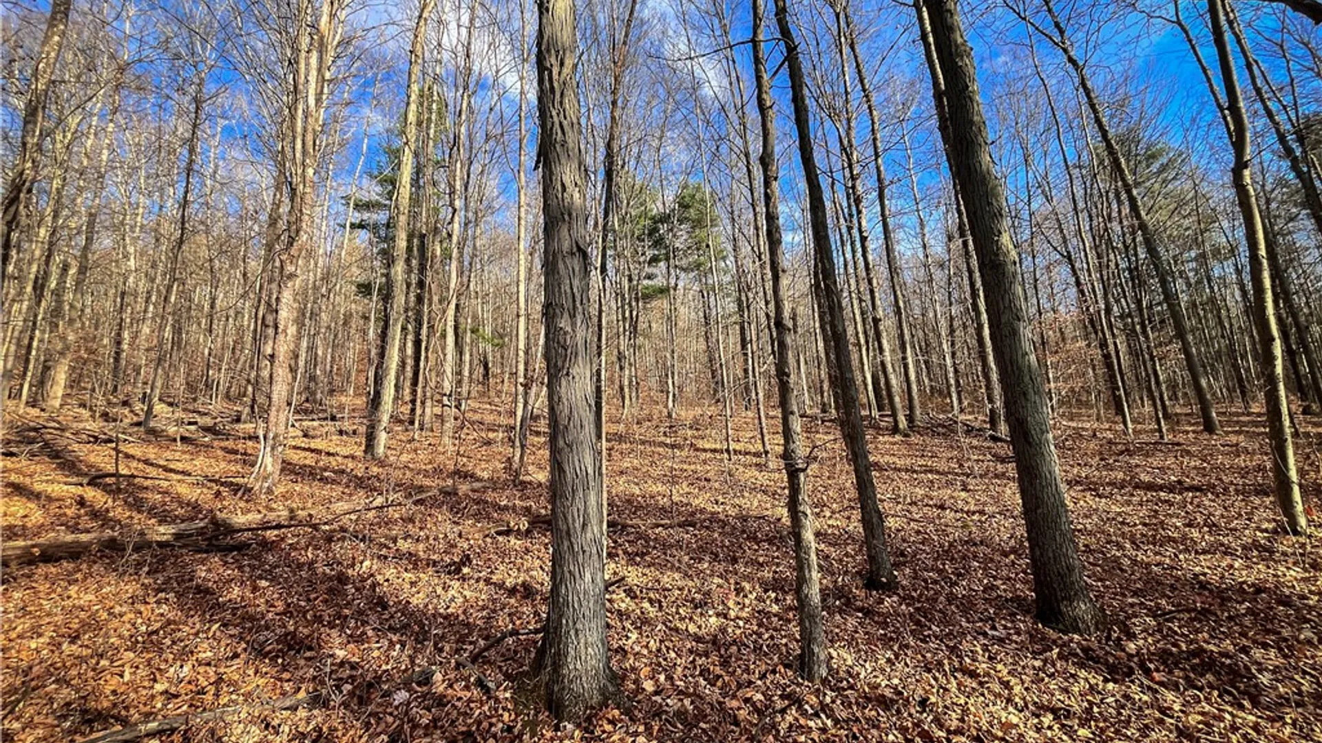 Property at 1188 Braybrook Road, Chemung, NY 14825 22
