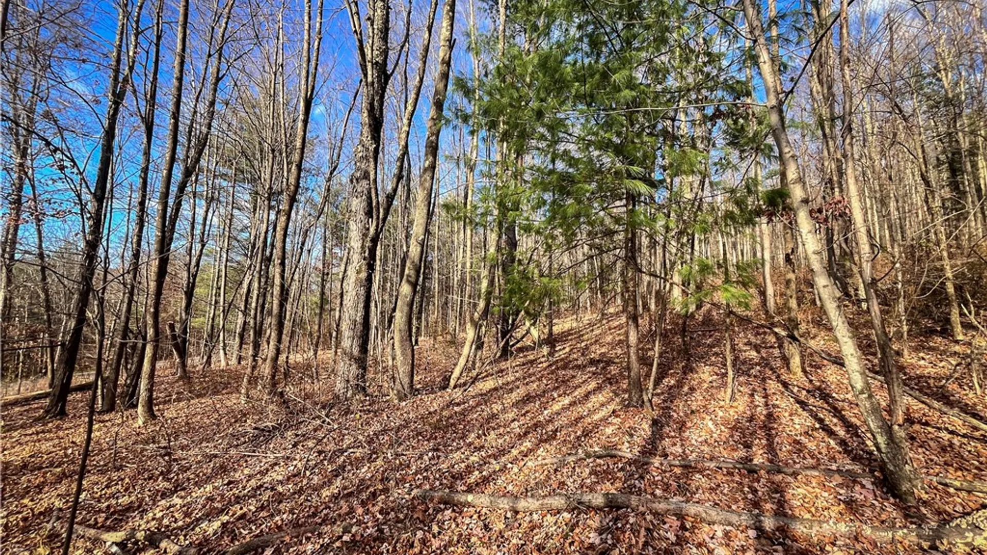 Property at 1188 Braybrook Road, Chemung, NY 14825 9