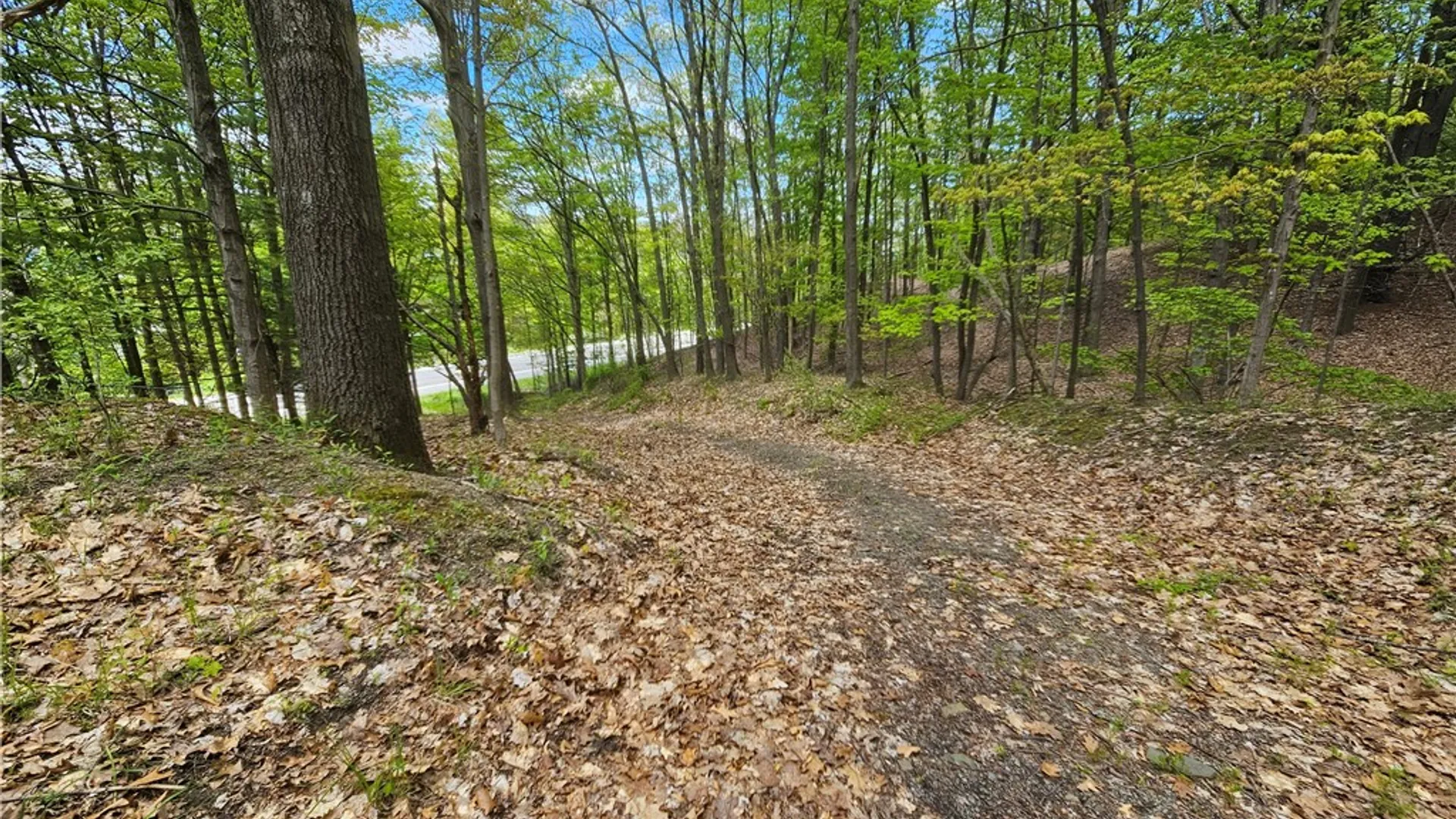 Property at 615 East Lake Rd - Rt 54 Road, Milo, NY 14527 10