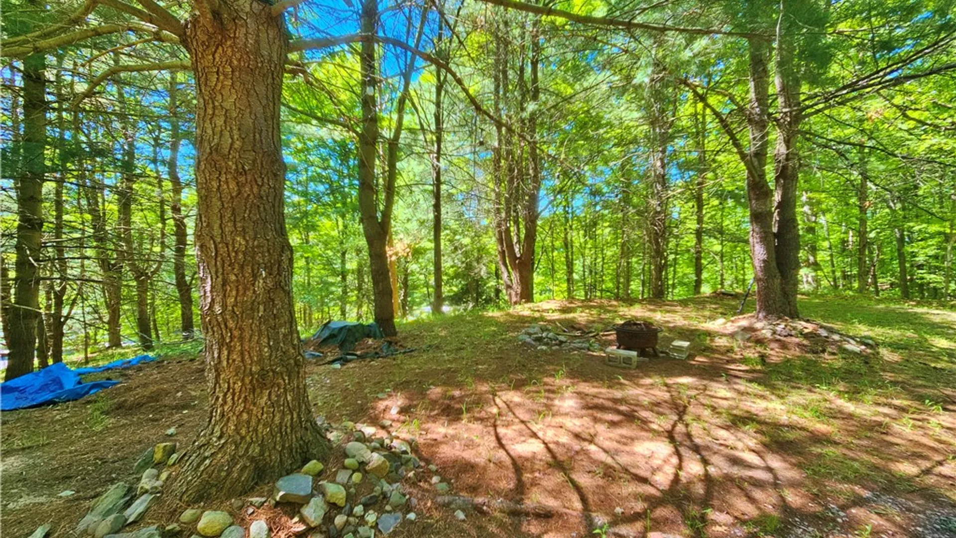 Property at 615 East Lake Rd - Rt 54 Road, Milo, NY 14527 12