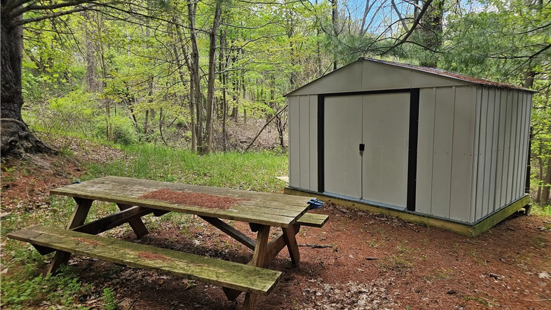 Property at 615 East Lake Rd - Rt 54 Road, Milo, NY 14527 13