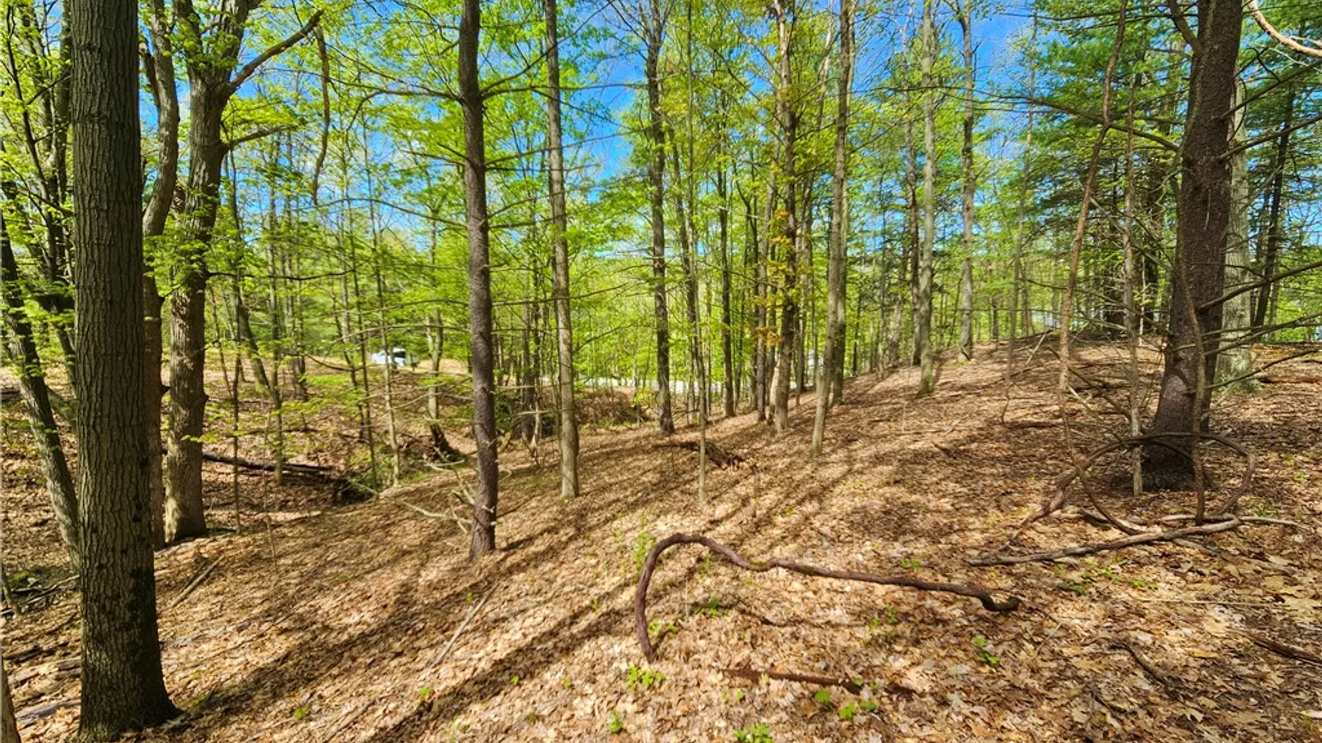 Property at 615 East Lake Rd - Rt 54 Road, Milo, NY 14527 17