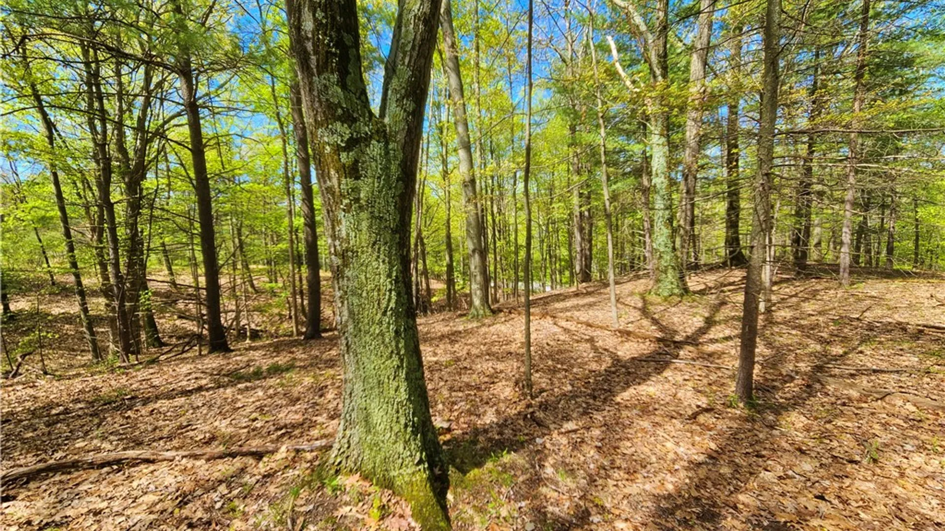 Property at 615 East Lake Rd - Rt 54 Road, Milo, NY 14527 18