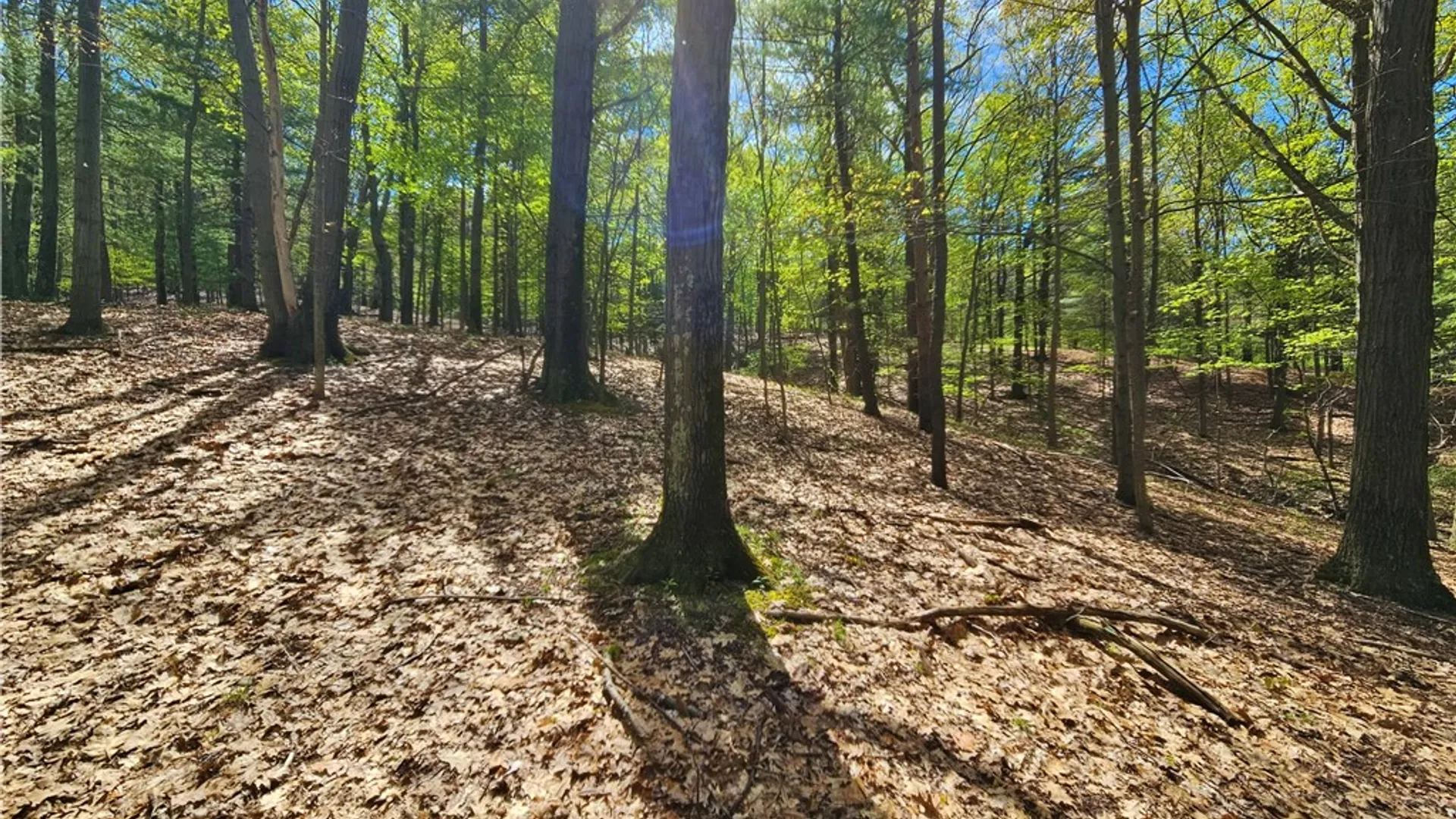 Property at 615 East Lake Rd - Rt 54 Road, Milo, NY 14527 19