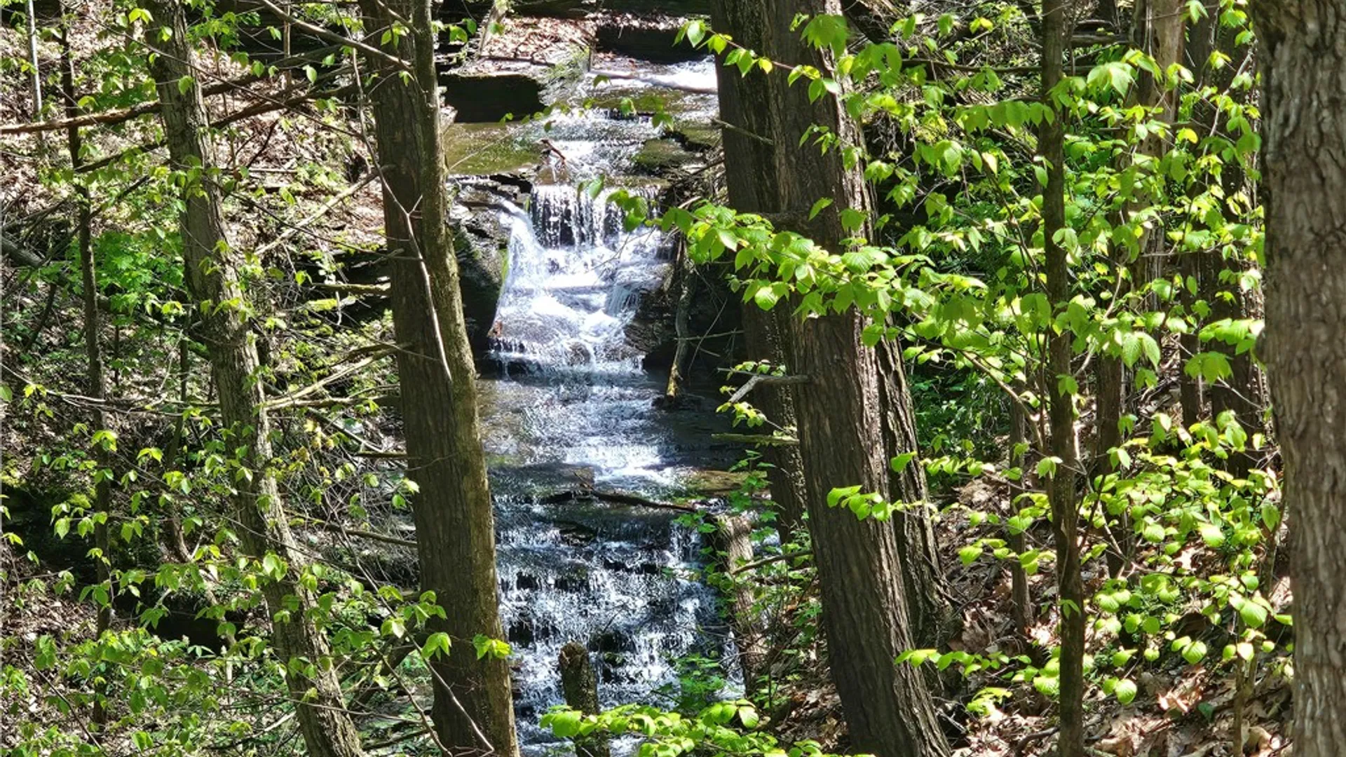 Property at 615 East Lake Rd - Rt 54 Road, Milo, NY 14527 20