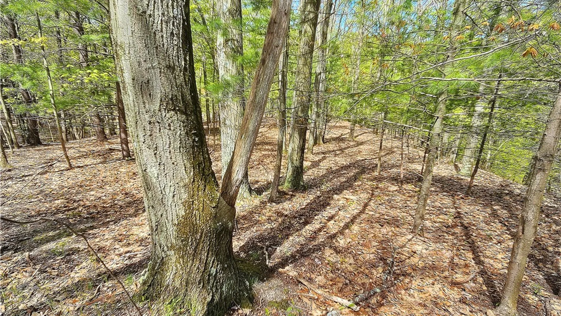 Property at 615 East Lake Rd - Rt 54 Road, Milo, NY 14527 21