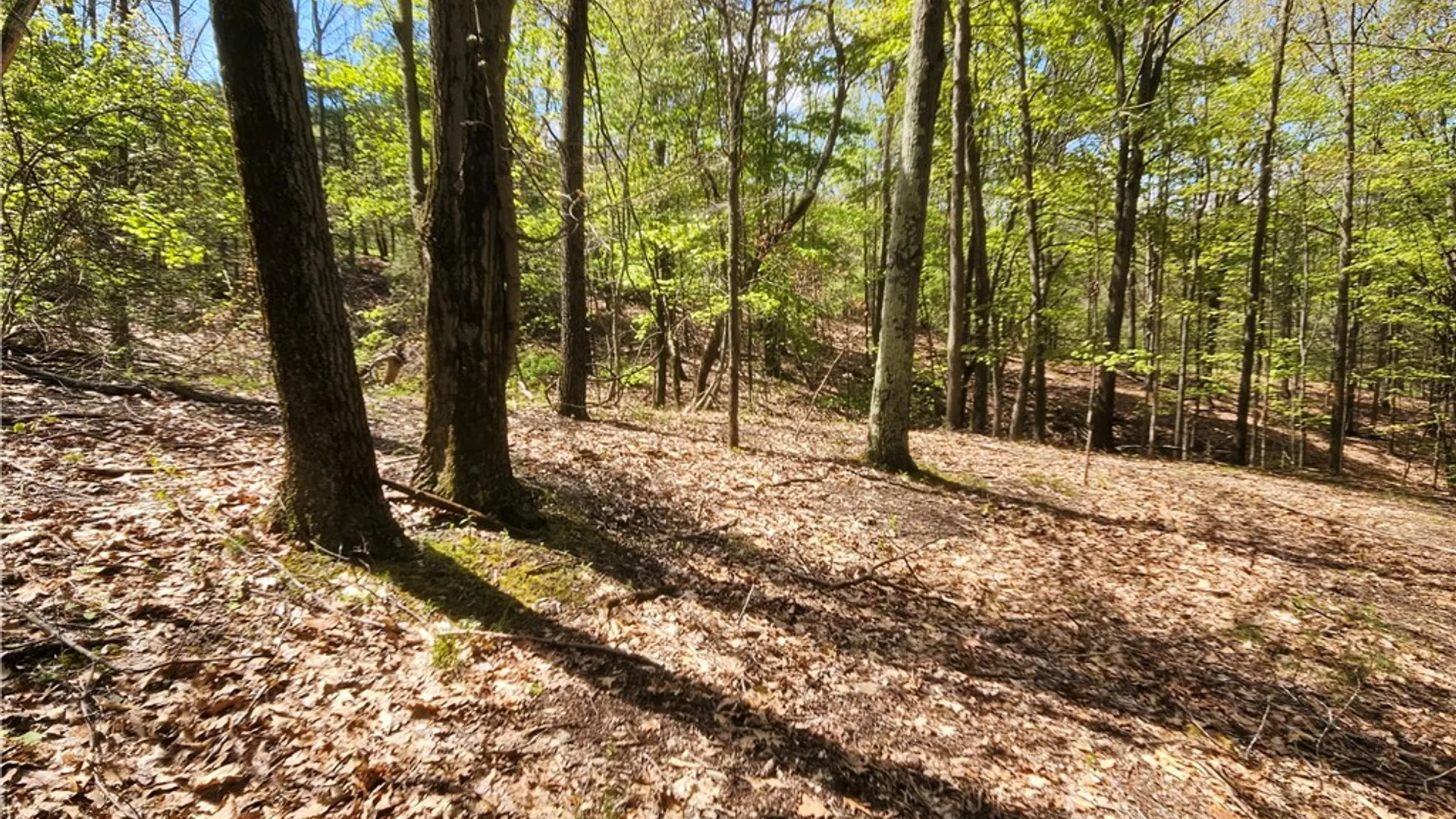 Property at 615 East Lake Rd - Rt 54 Road, Milo, NY 14527 22