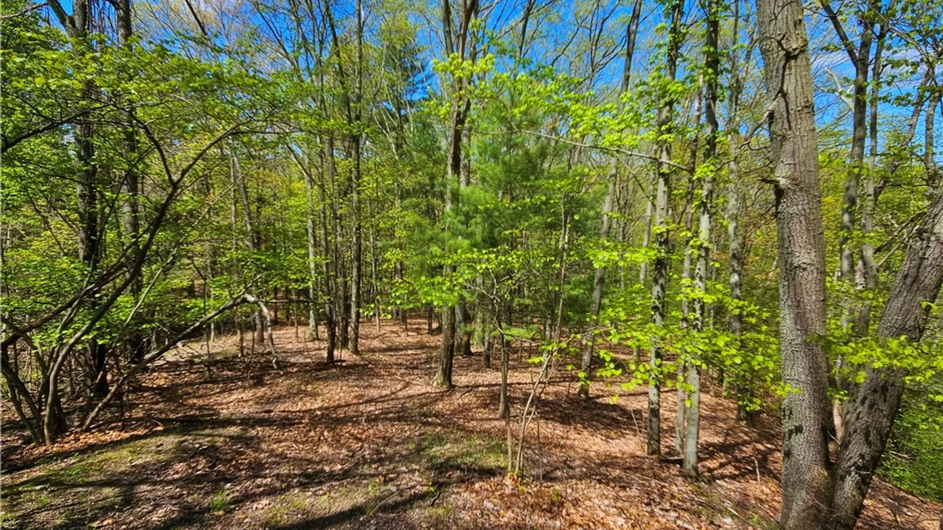 Property at 615 East Lake Rd - Rt 54 Road, Milo, NY 14527 23