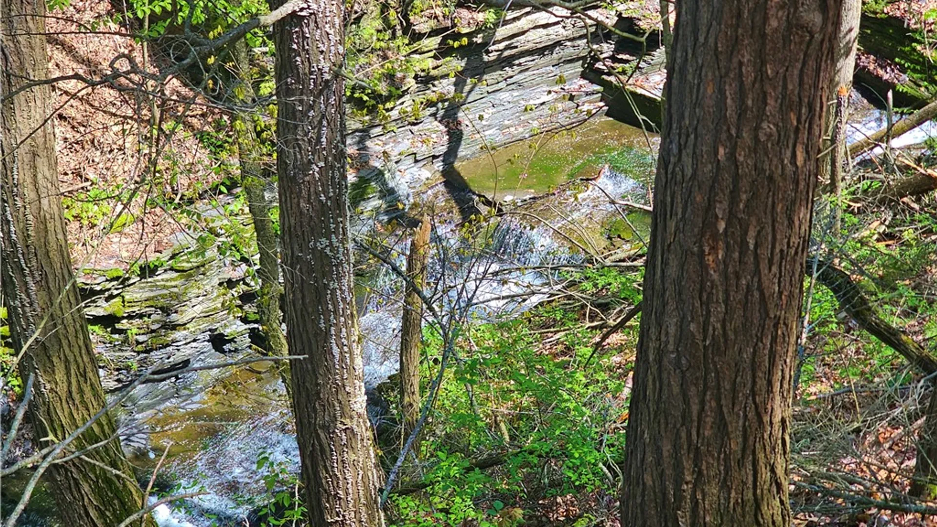 Property at 615 East Lake Rd - Rt 54 Road, Milo, NY 14527 25