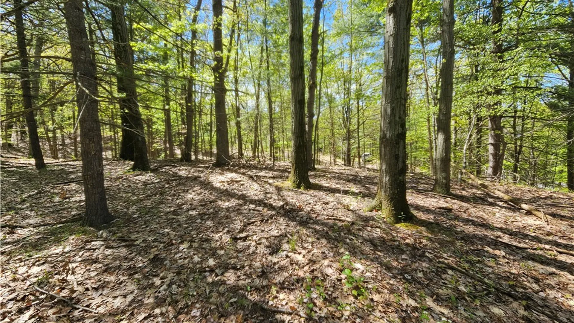 Property at 615 East Lake Rd - Rt 54 Road, Milo, NY 14527 27