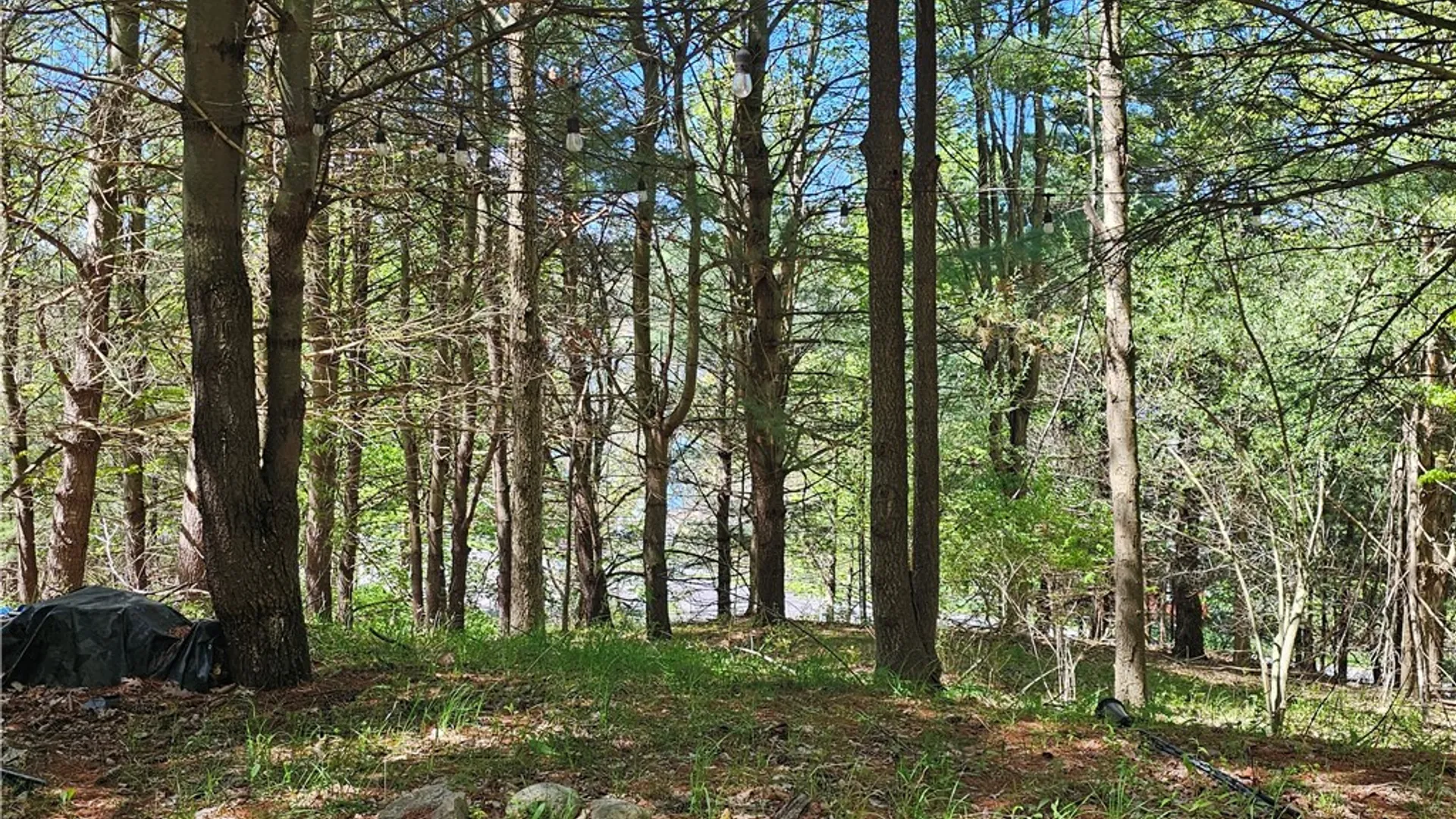 Property at 615 East Lake Rd - Rt 54 Road, Milo, NY 14527 30