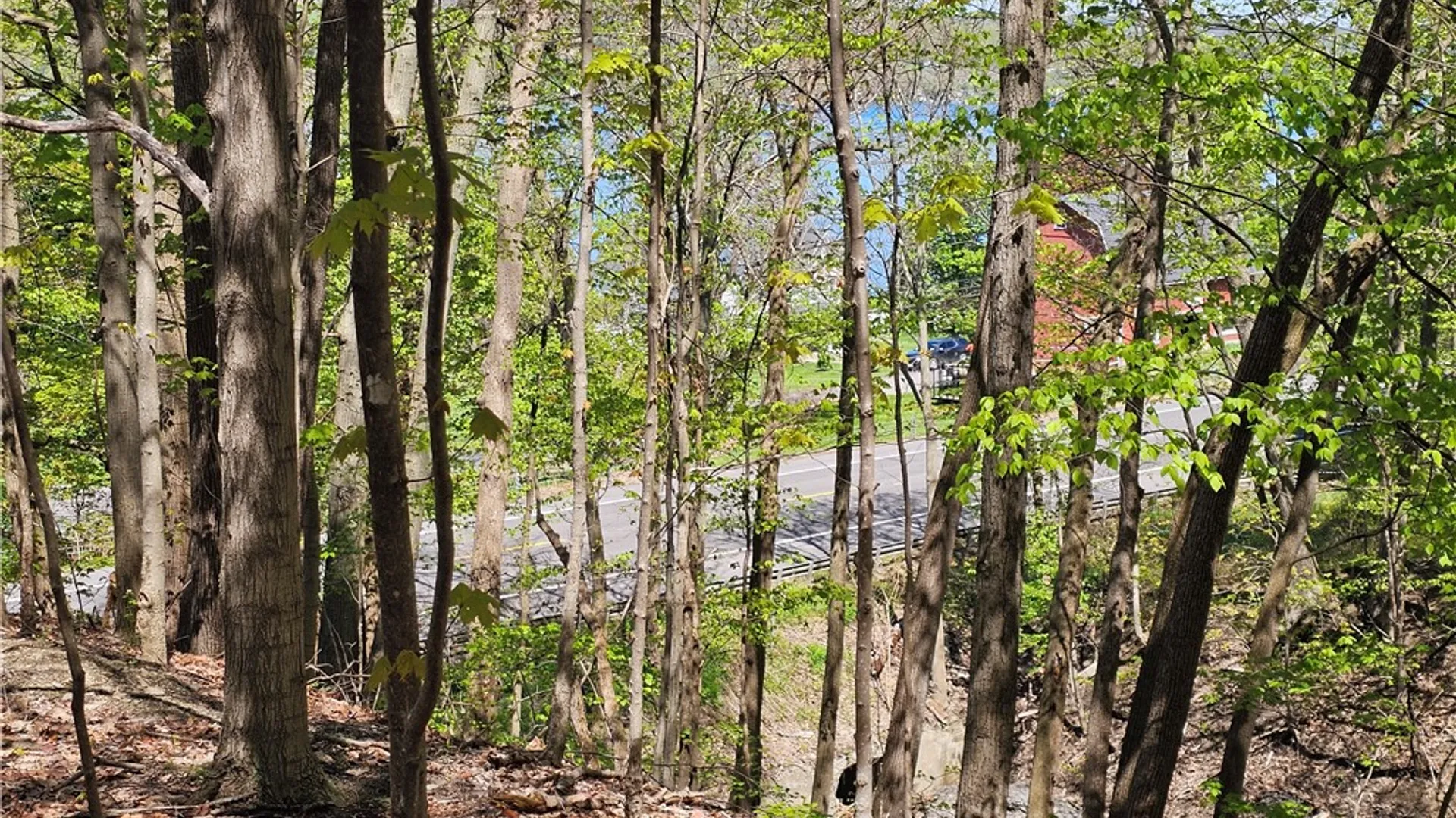 Property at 615 East Lake Rd - Rt 54 Road, Milo, NY 14527 4