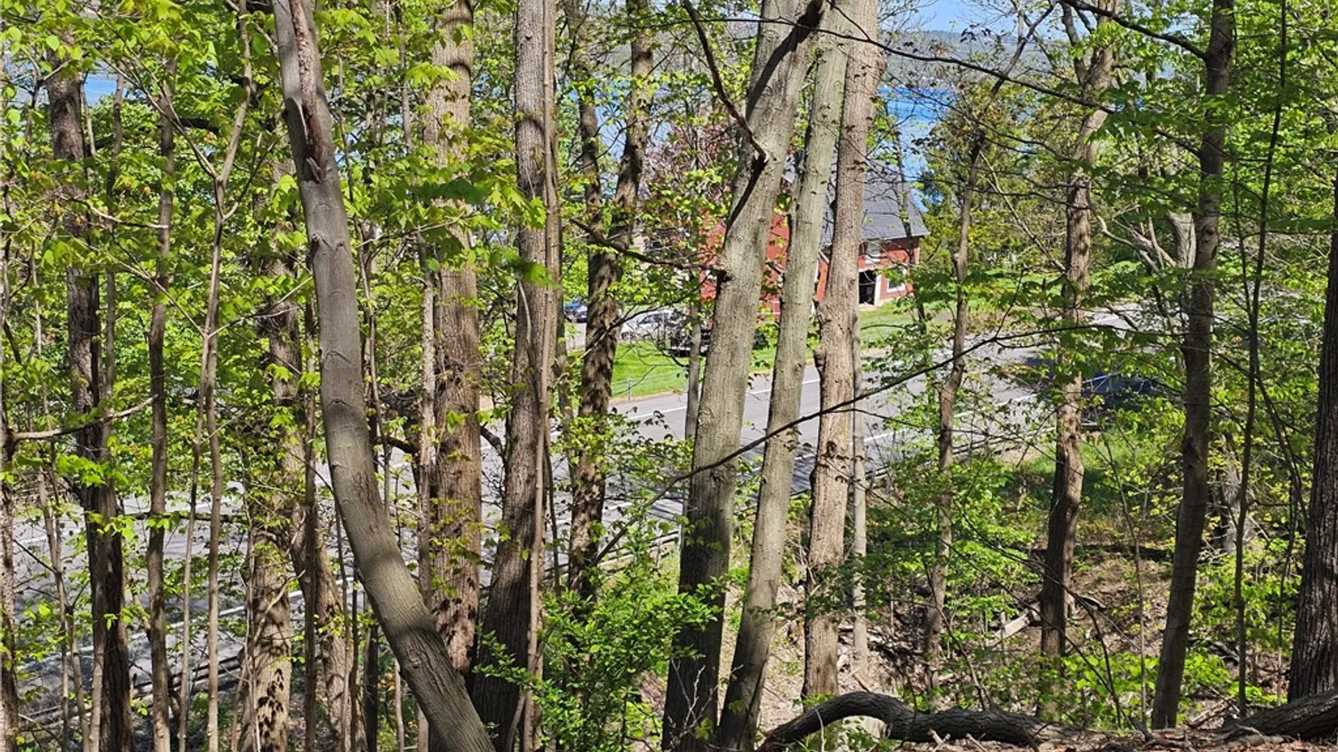 Property at 615 East Lake Rd - Rt 54 Road, Milo, NY 14527 5