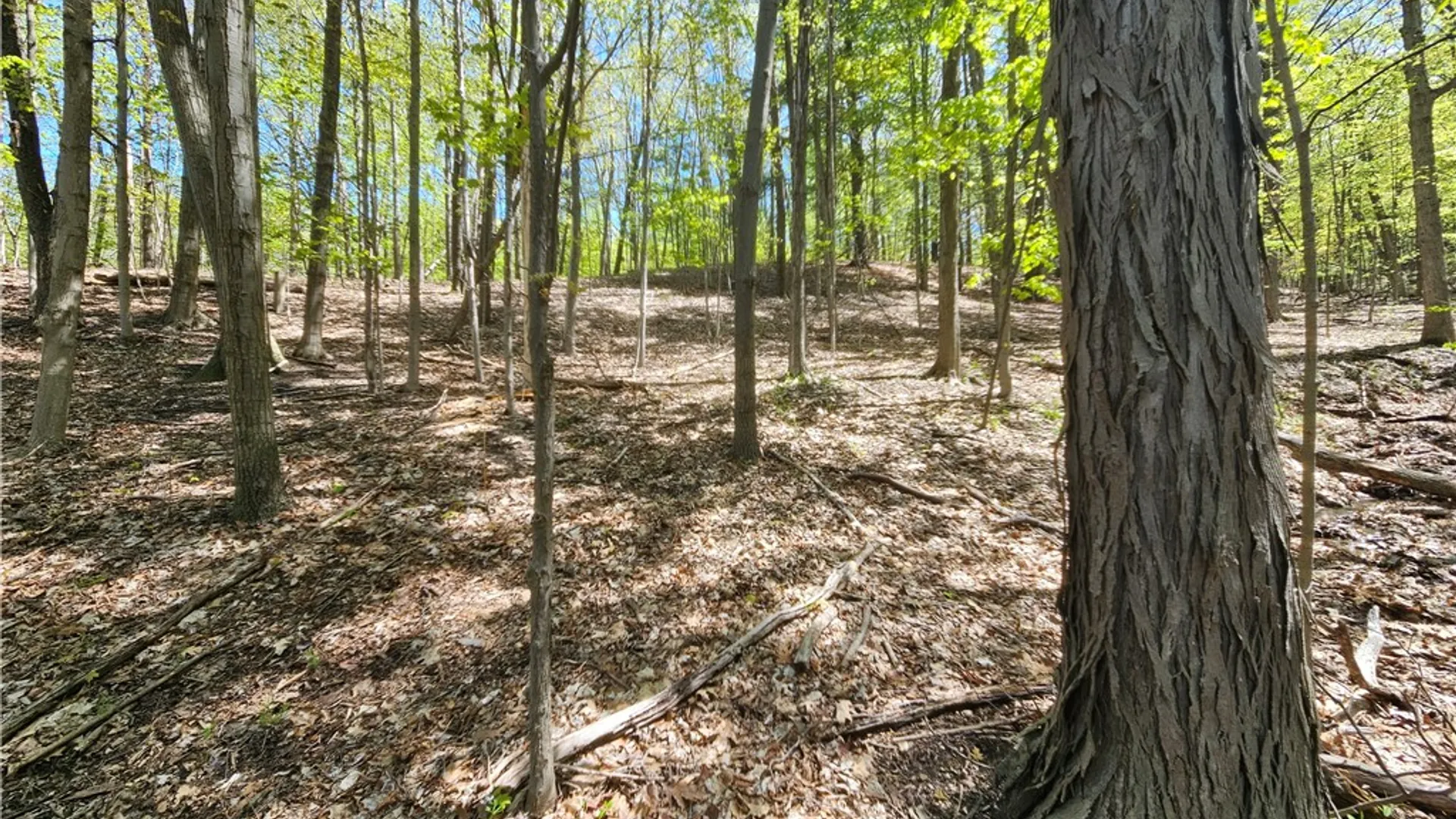 Property at 615 East Lake Rd - Rt 54 Road, Milo, NY 14527 6