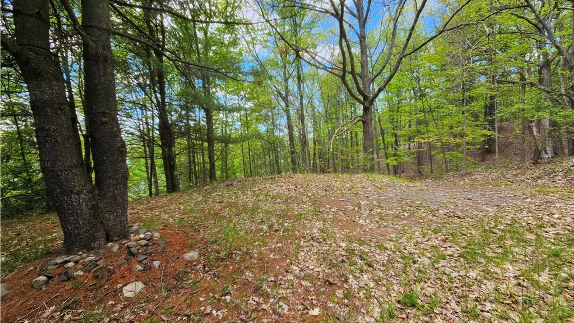 Property at 615 East Lake Rd - Rt 54 Road, Milo, NY 14527 7