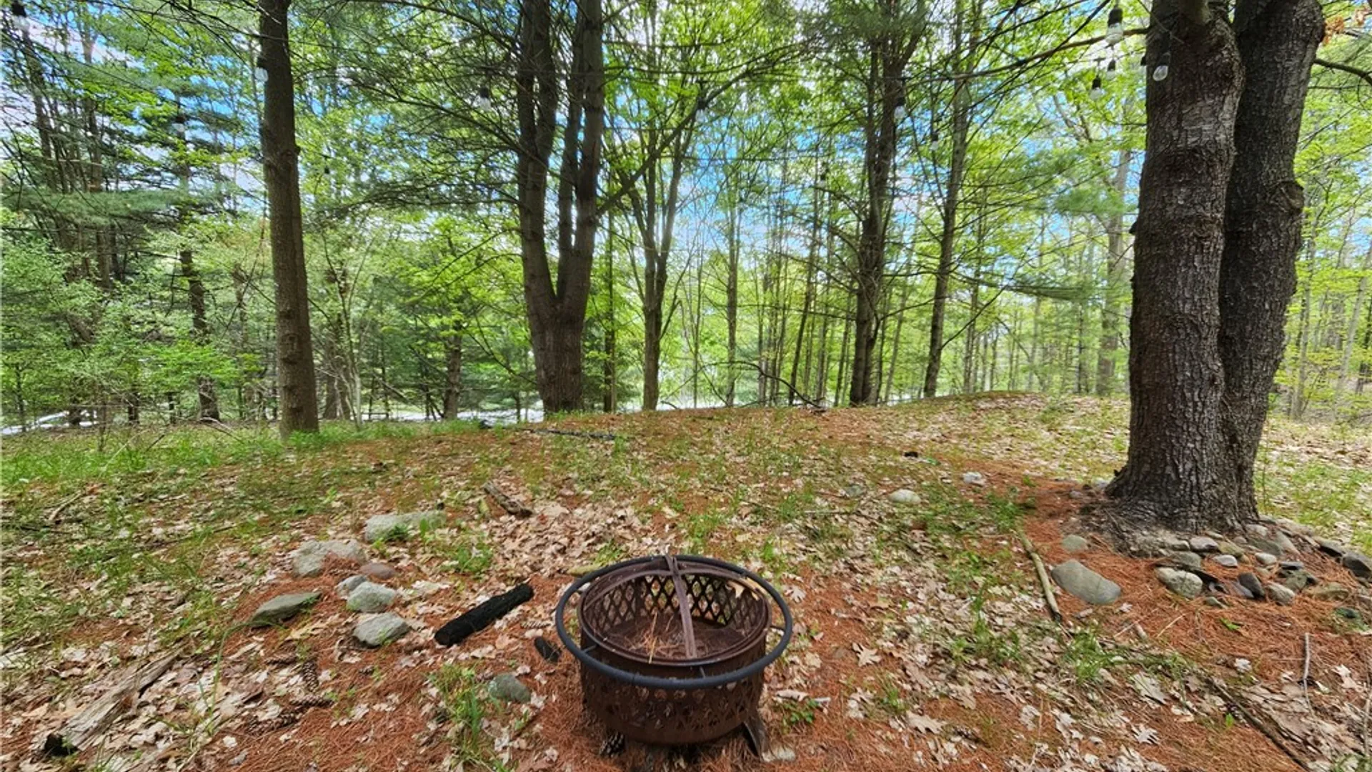 Property at 615 East Lake Rd - Rt 54 Road, Milo, NY 14527 8