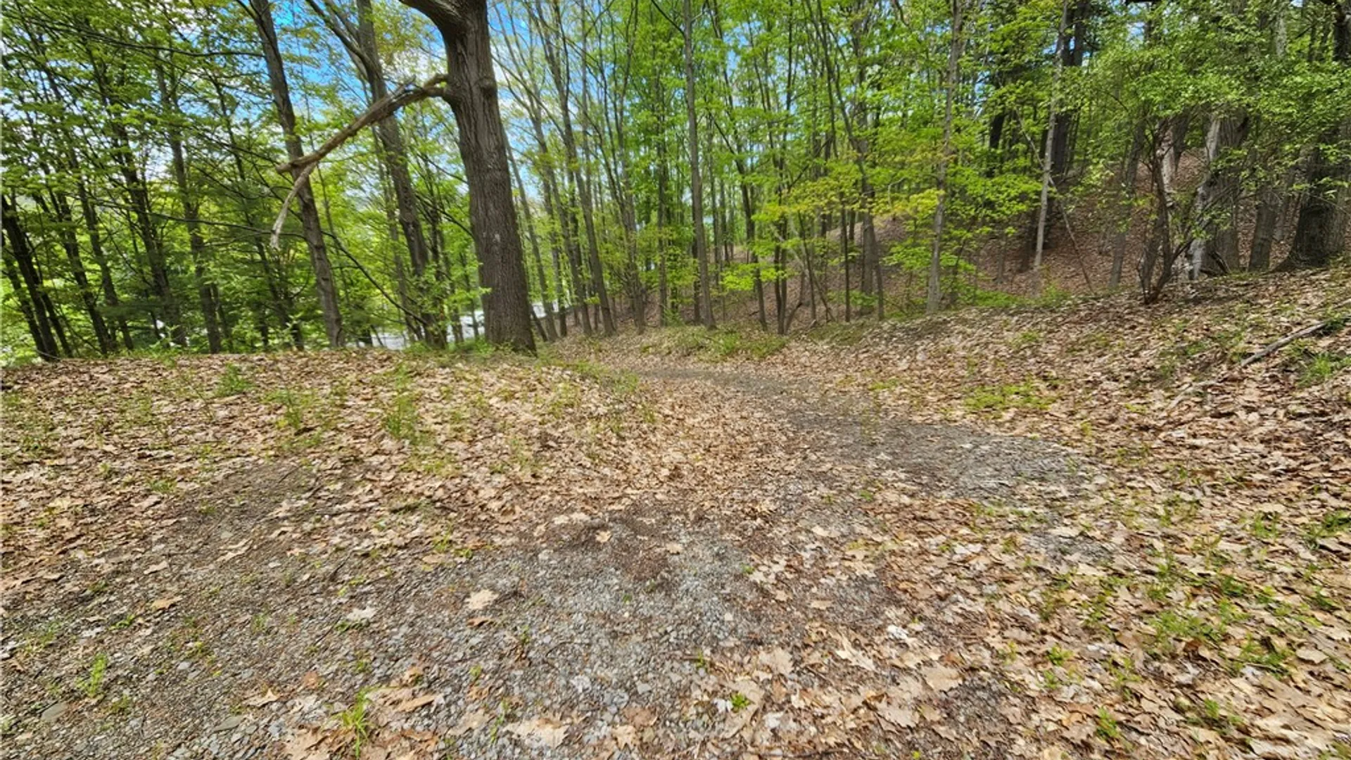 Property at 615 East Lake Rd - Rt 54 Road, Milo, NY 14527 9