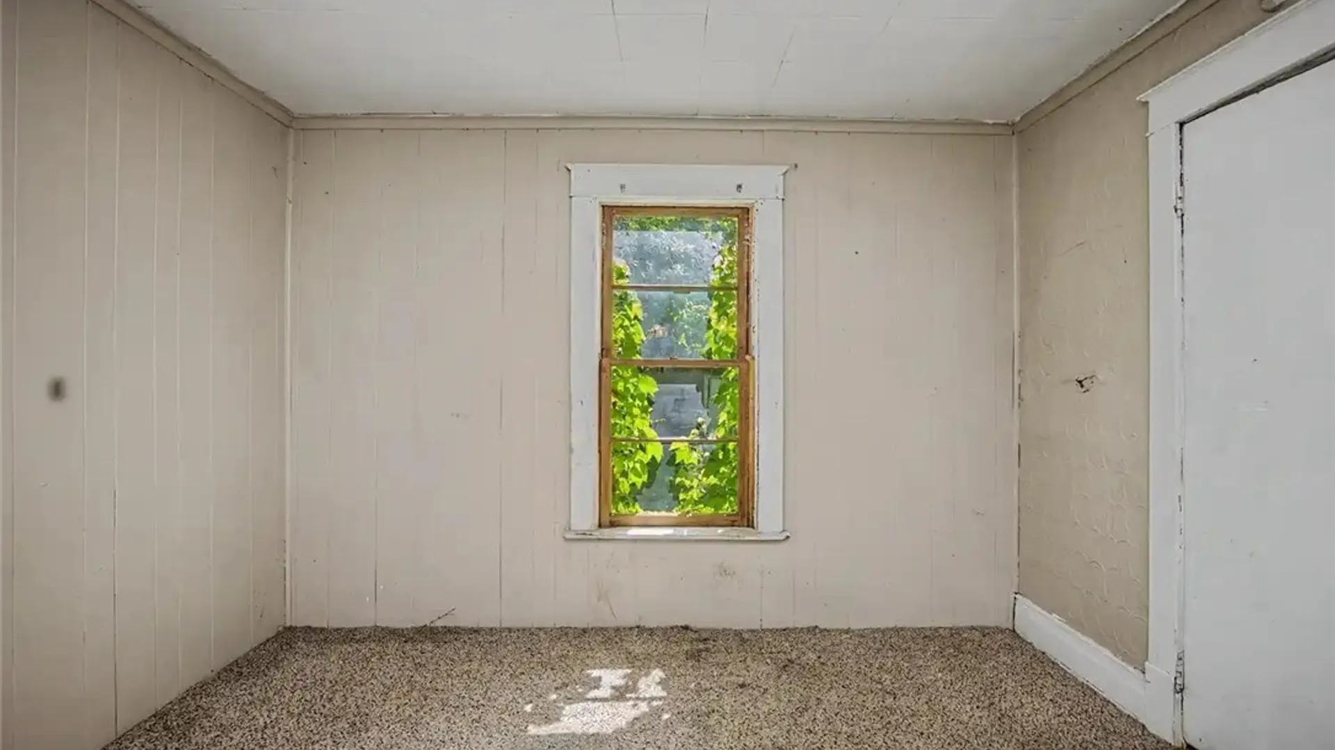Property at 517 Tronolone Place, Niagara Falls, NY 14301 25