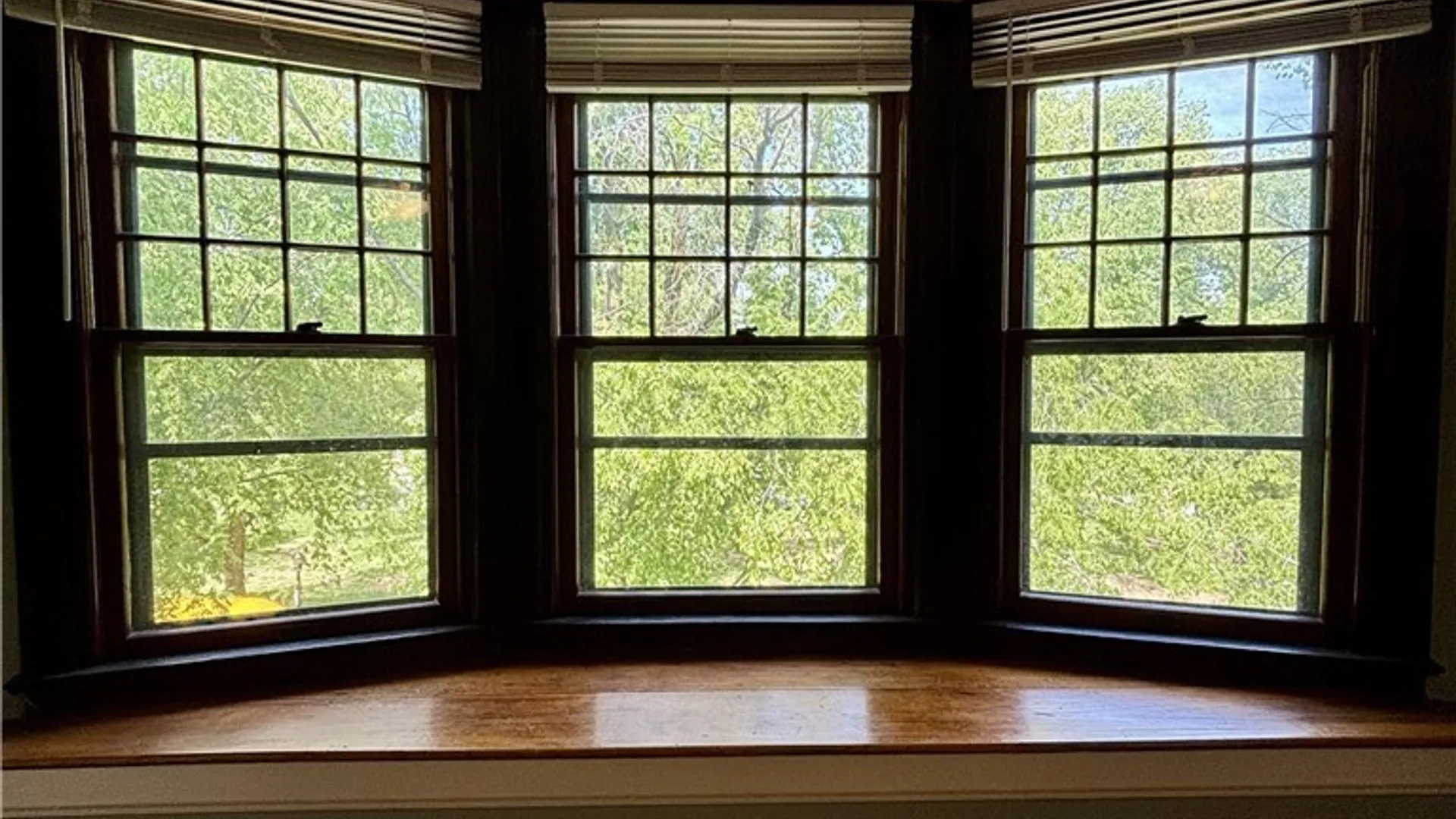 Property at 115 Bidwell Parkway, Buffalo, NY 14222 5