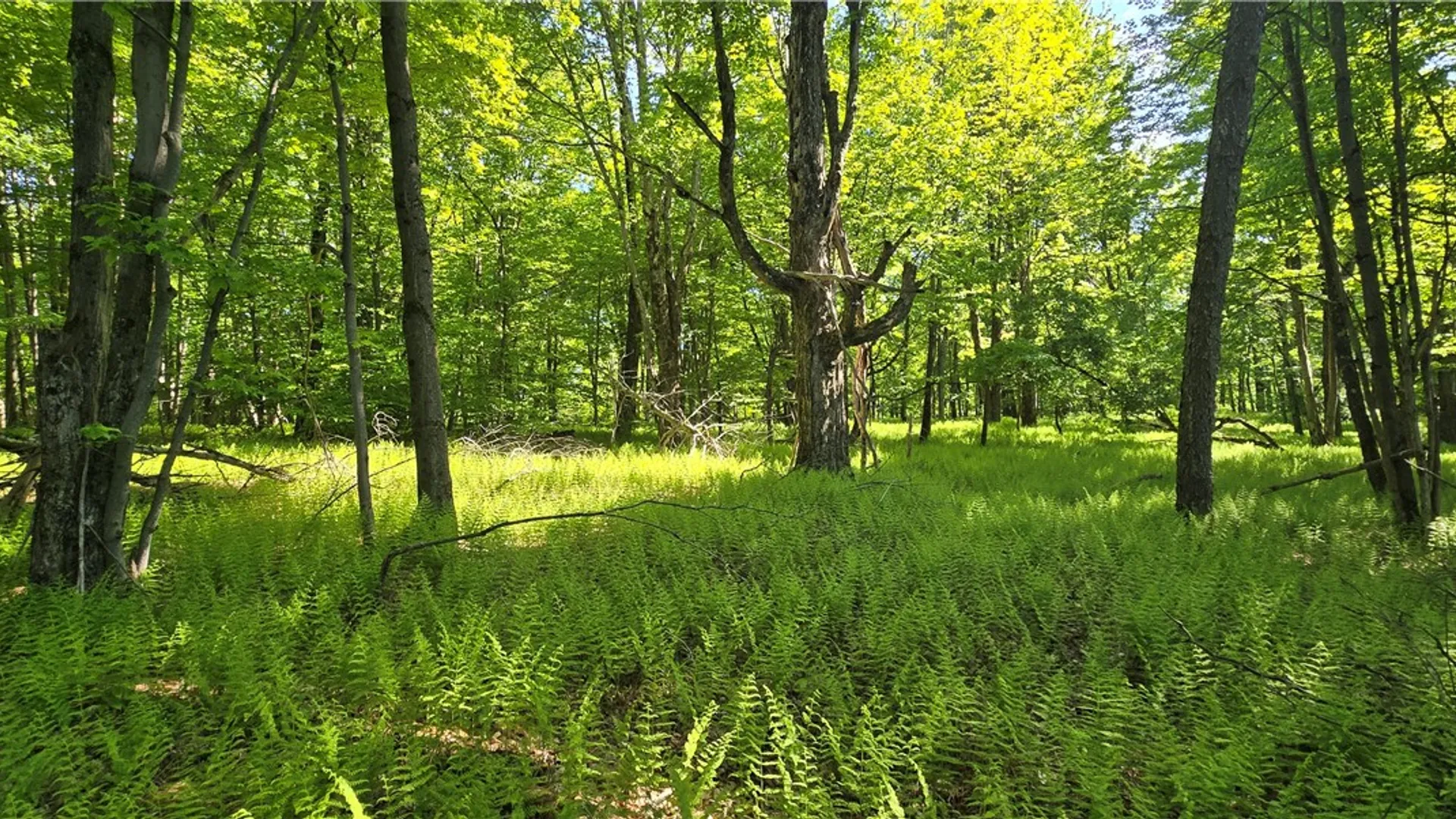 Property at STAR DR, Jefferson, NY 12167 10