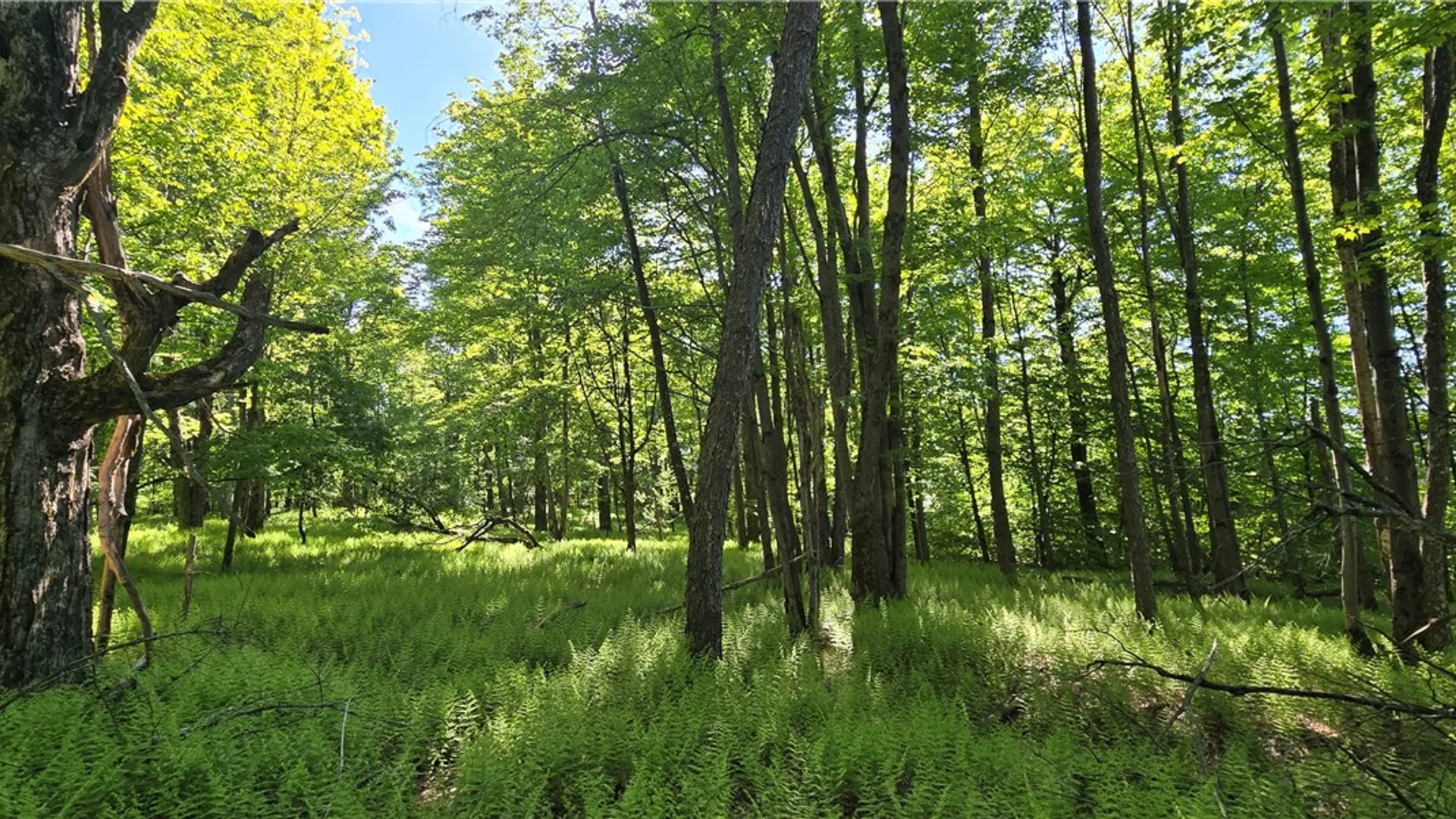 Property at STAR DR, Jefferson, NY 12167 12