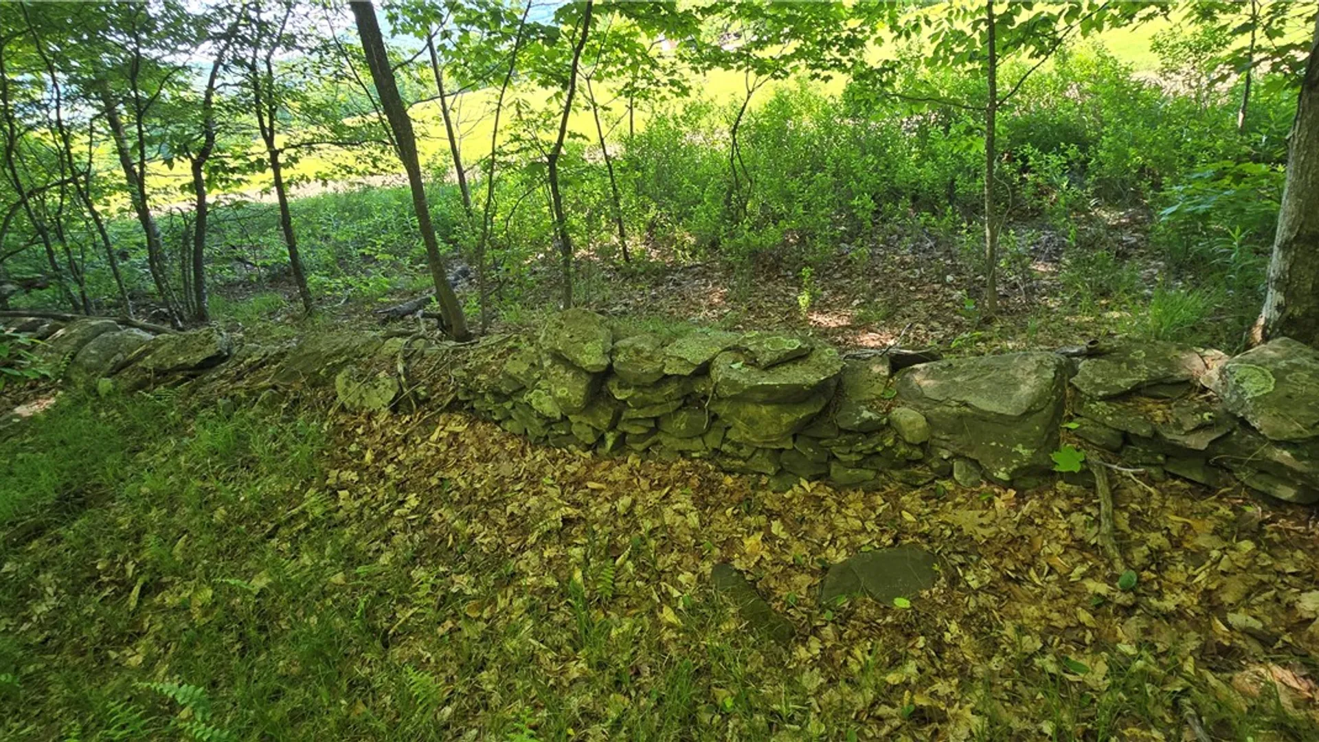 Property at STAR DR, Jefferson, NY 12167 13