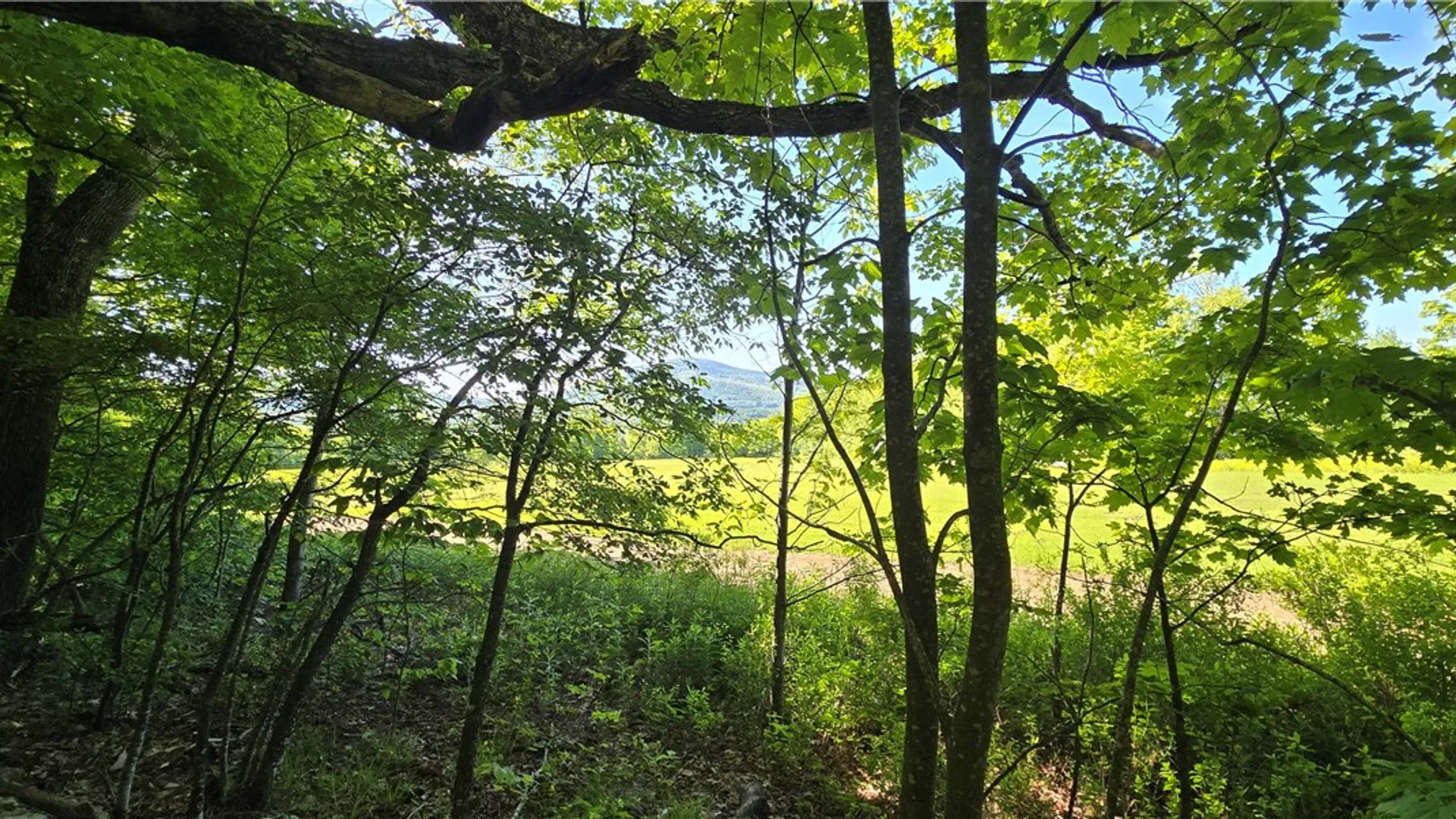 Property at STAR DR, Jefferson, NY 12167 14