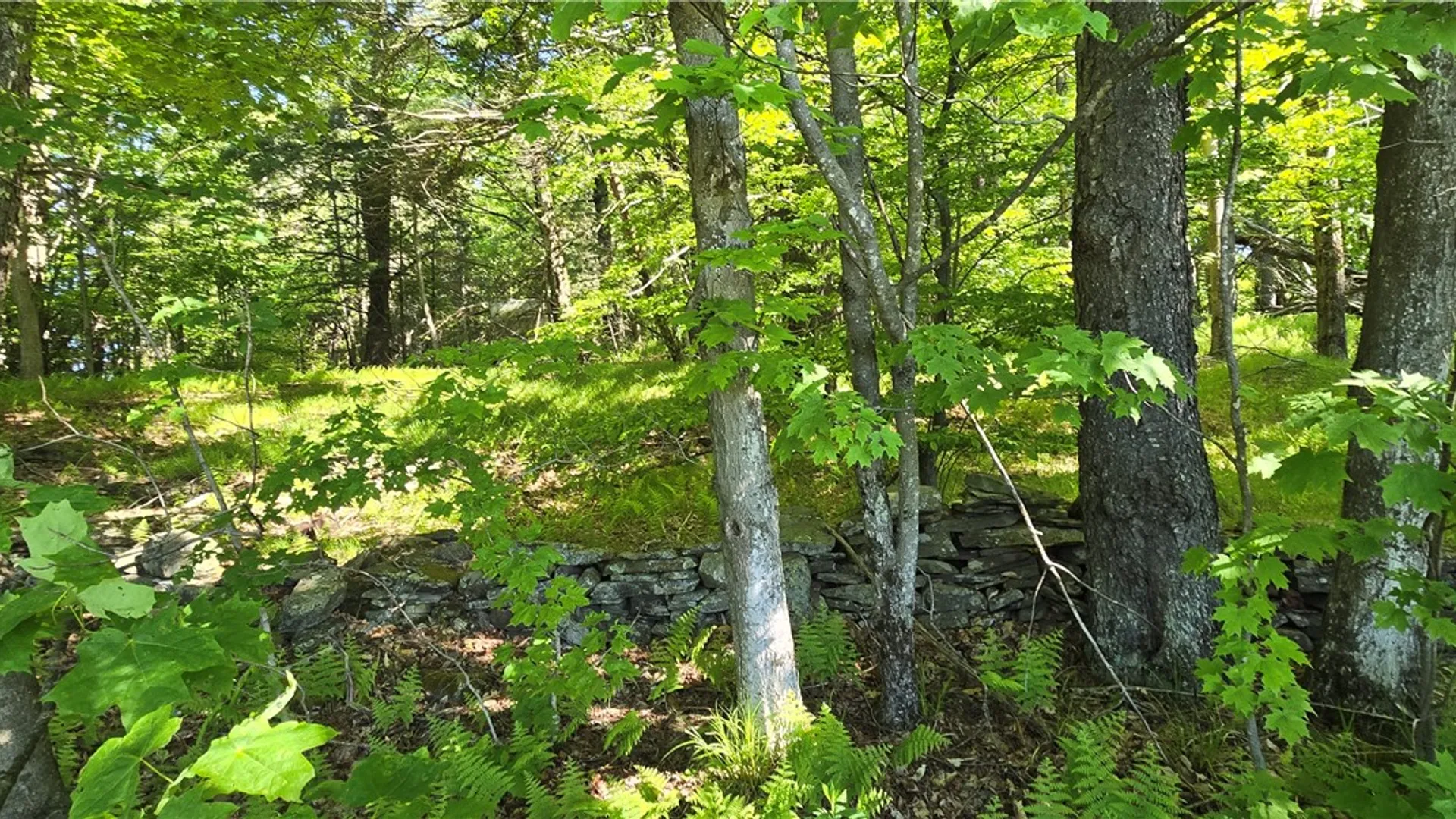 Property at STAR DR, Jefferson, NY 12167 15