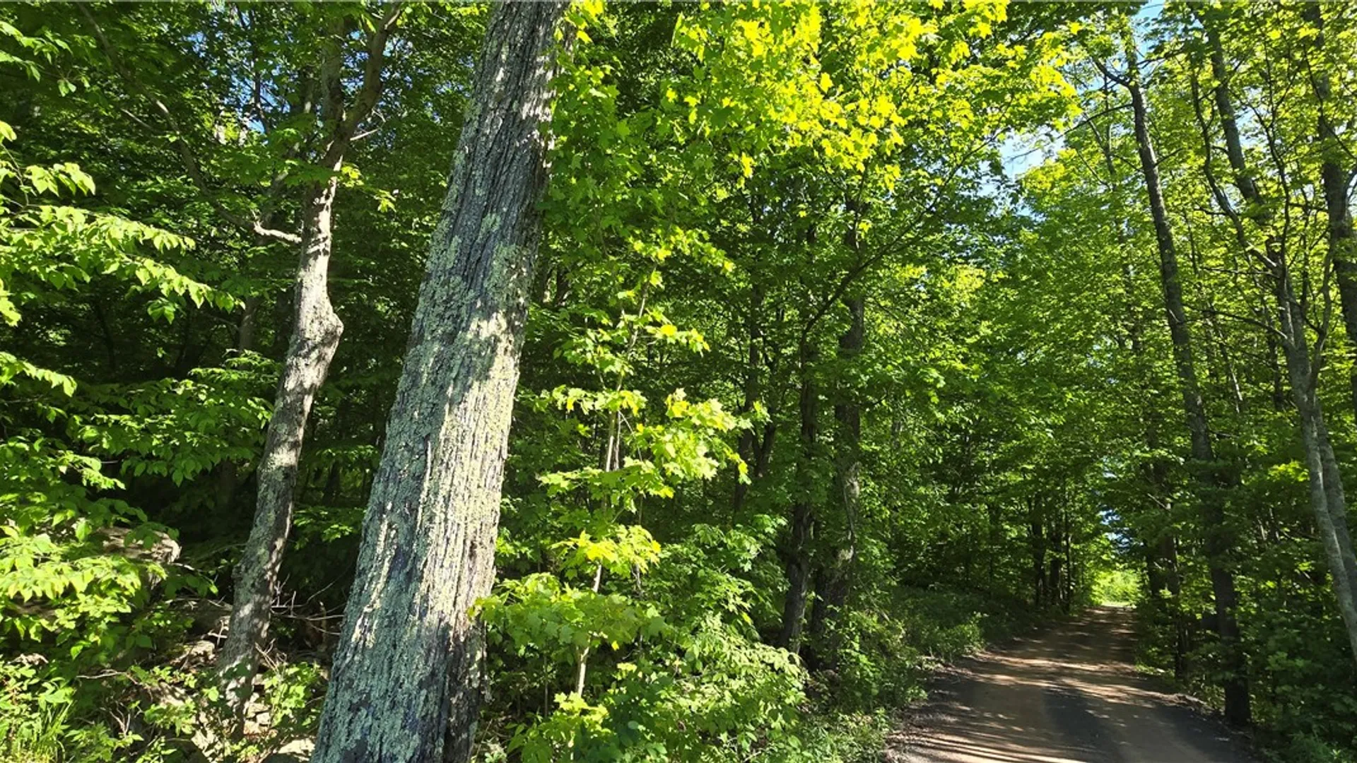 Property at STAR DR, Jefferson, NY 12167 17